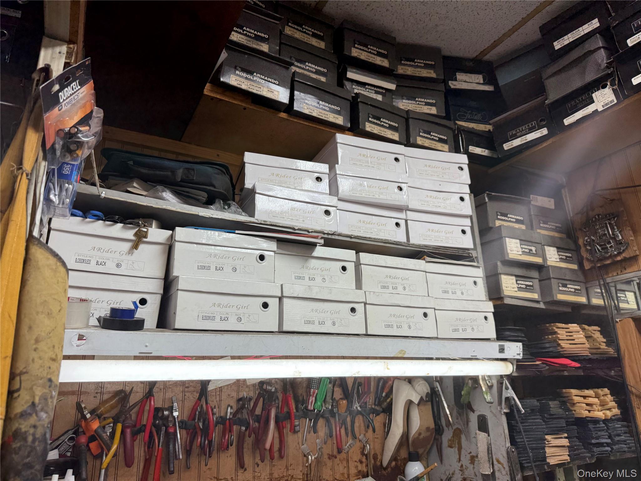 741 Lydig Avenue, Bronx, NY 10462