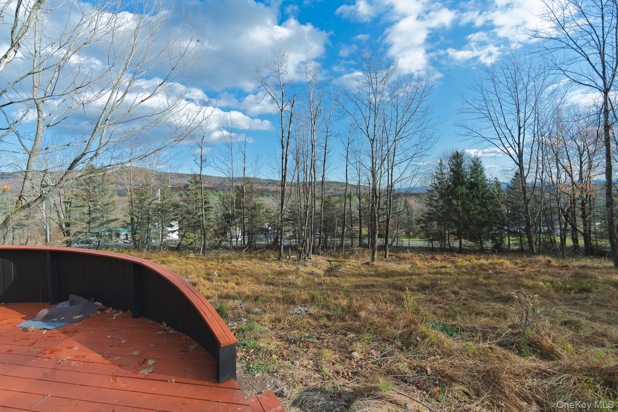 15 Deans Road, Grahamsville, NY 12458