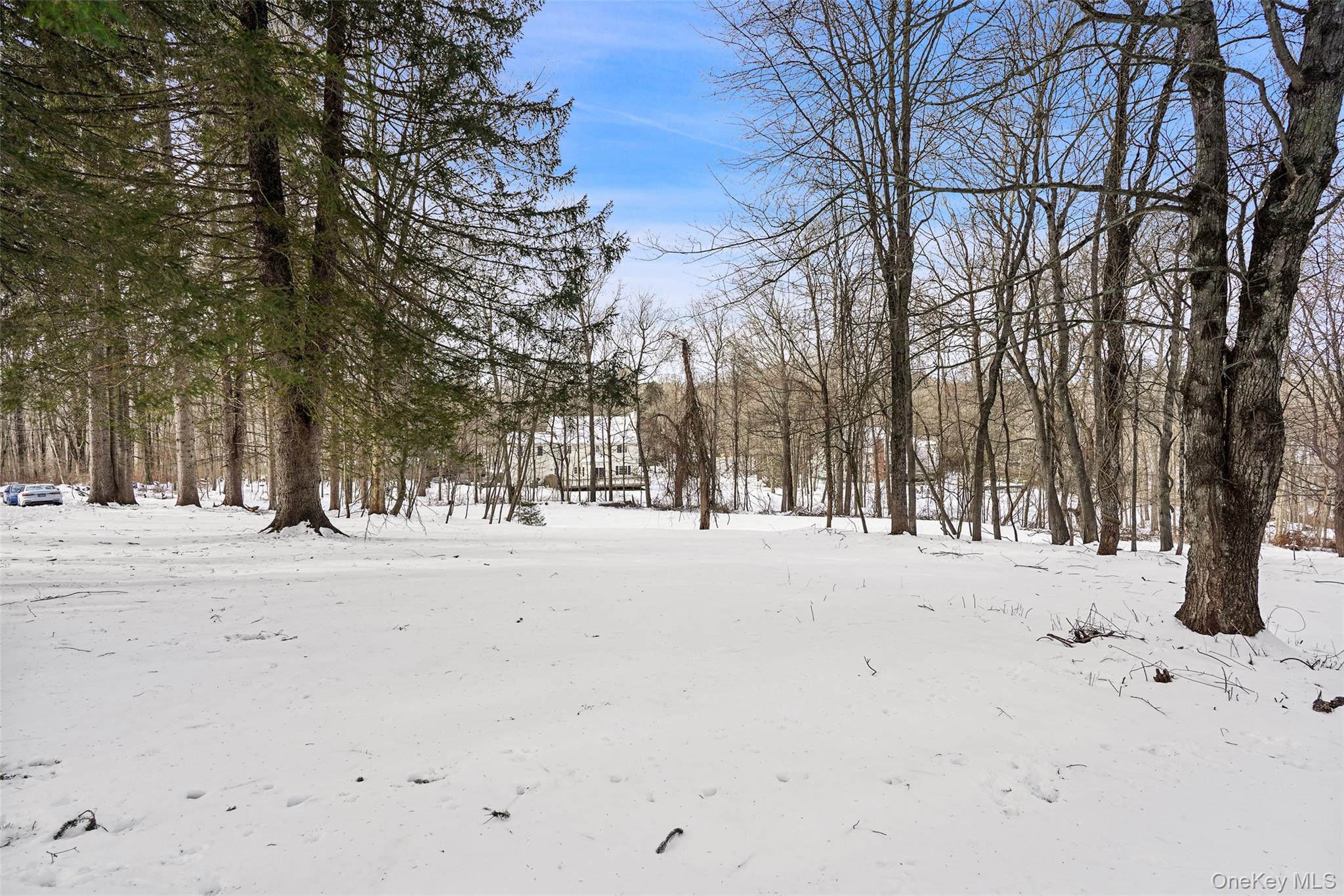 22 Raspberry Lane, Carmel, NY 10512