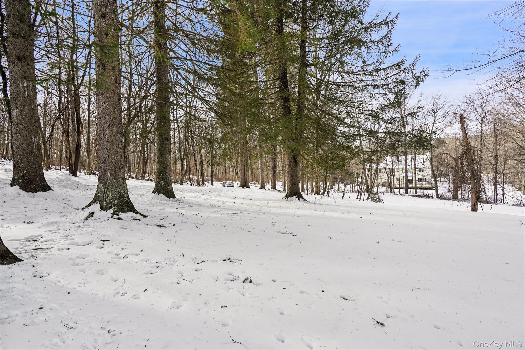 22 Raspberry Lane, Carmel, NY 10512