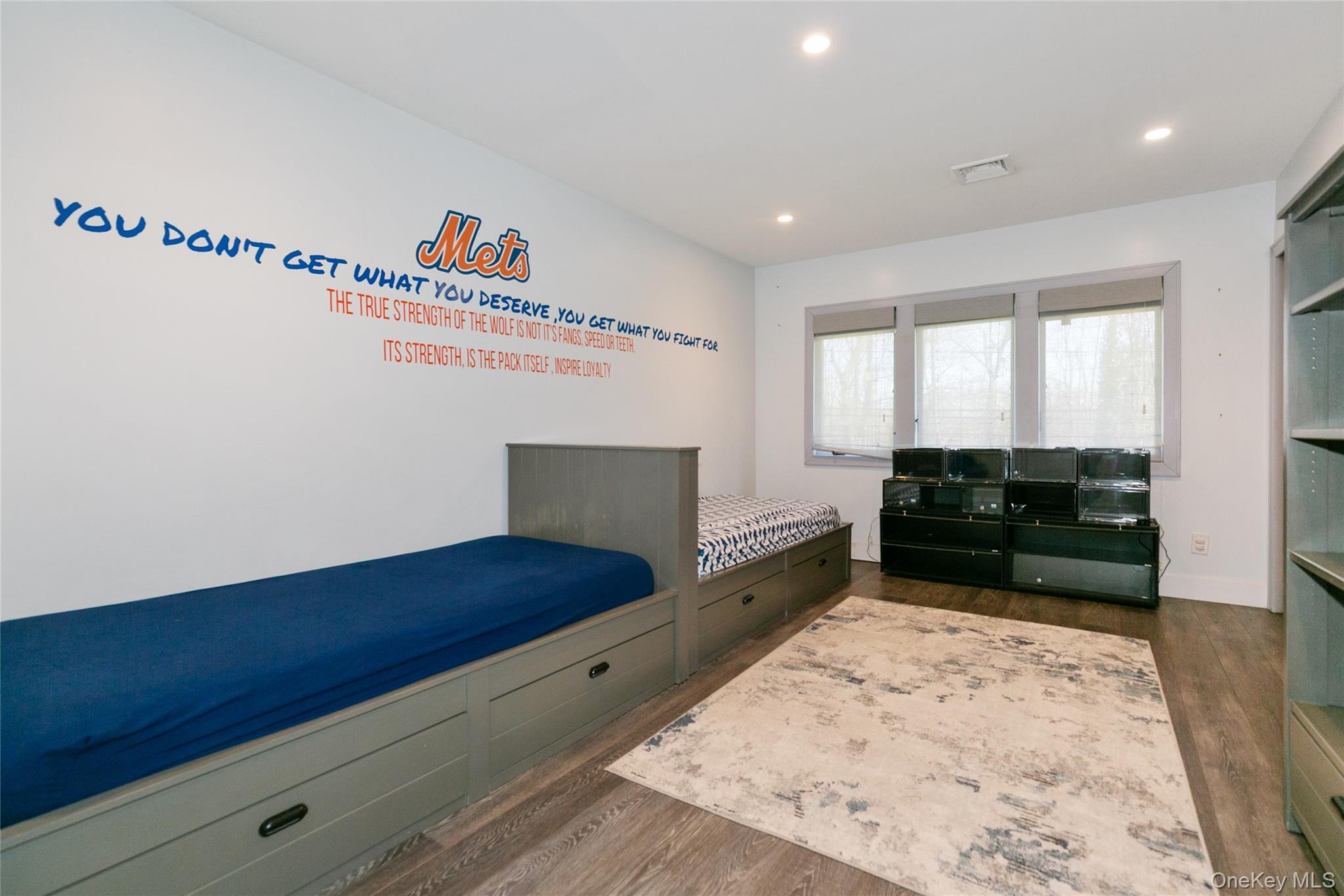 22 Olive Street, Lake Success, NY 11020