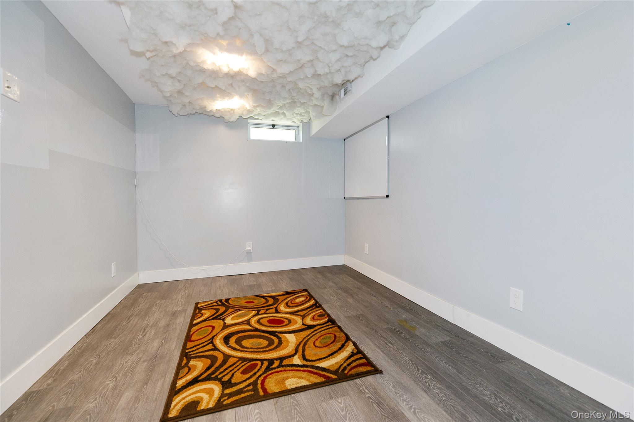 22 Olive Street, Lake Success, NY 11020