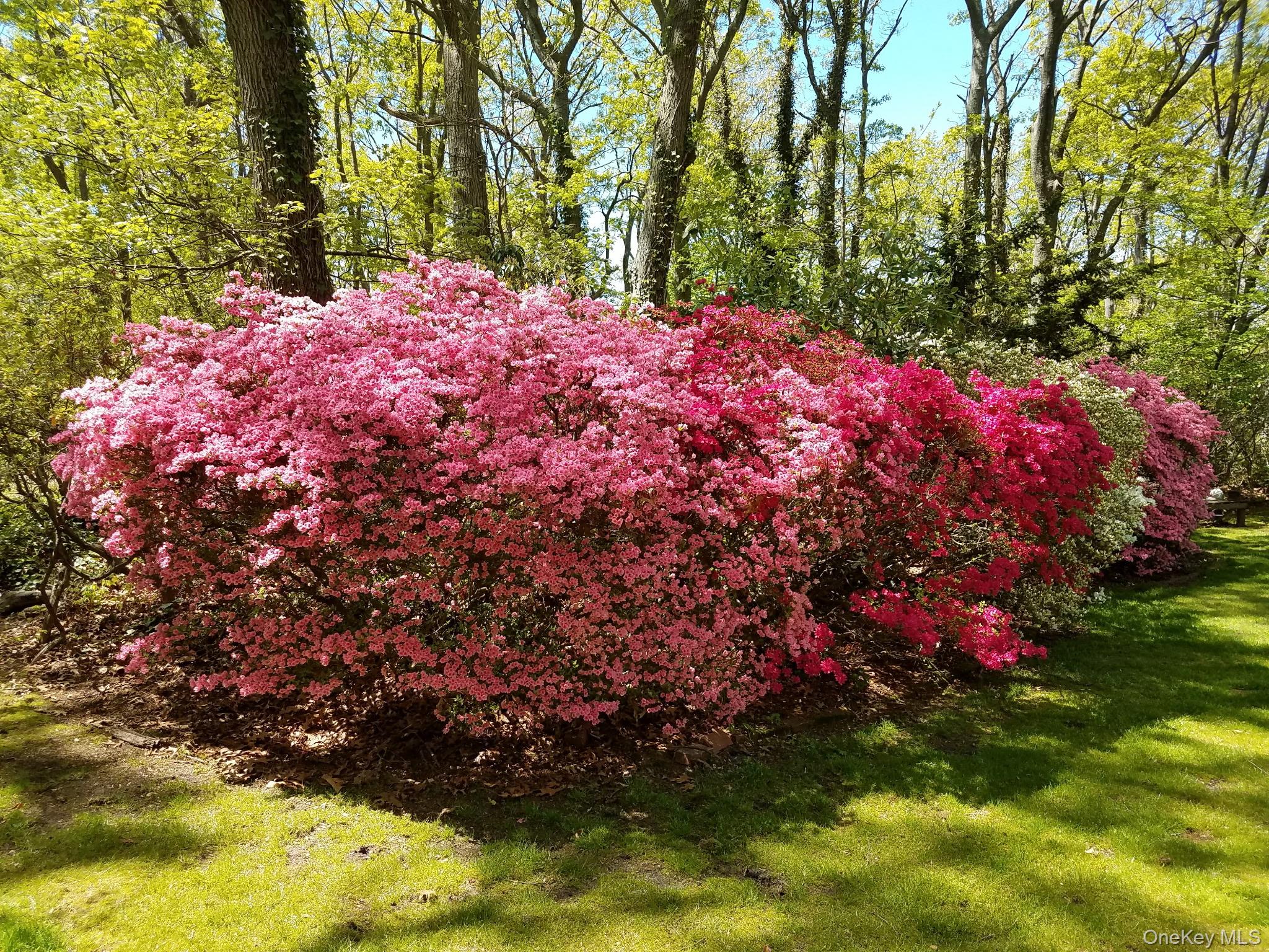 8 Old Wood Road, Stony Brook, NY 11790