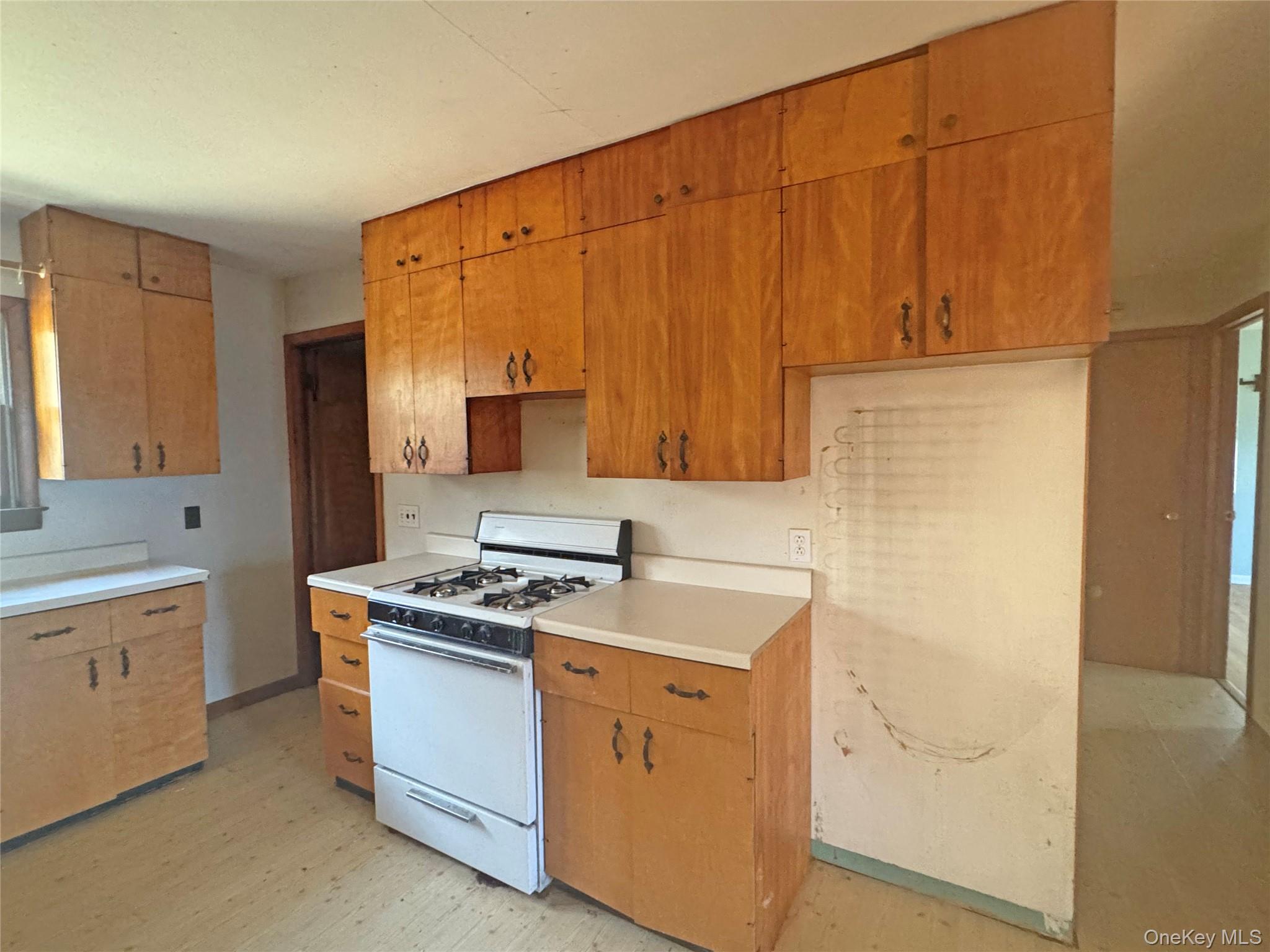 55 Monti Drive, Cairo, NY 12413