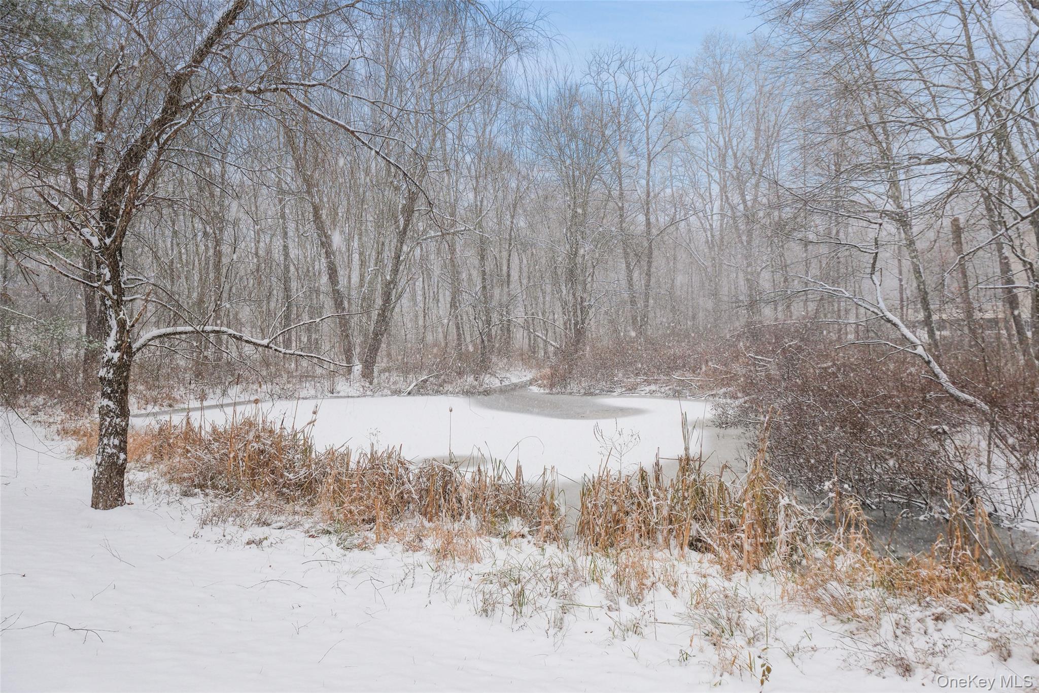 445 N Quaker Lane, Hyde Park, NY 12538