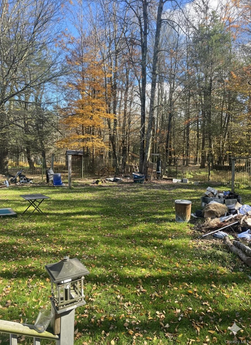 47 Eldridge Street S, Smallwood, NY 12720