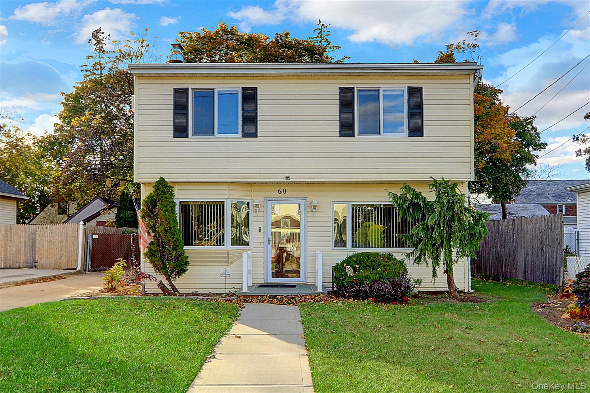 60 Parsons Drive, Hempstead, NY 11550