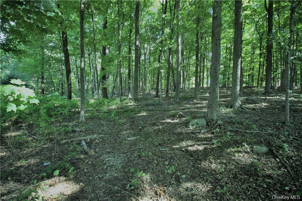 58-62 Walmer Lane, Cold Spring, NY 10516