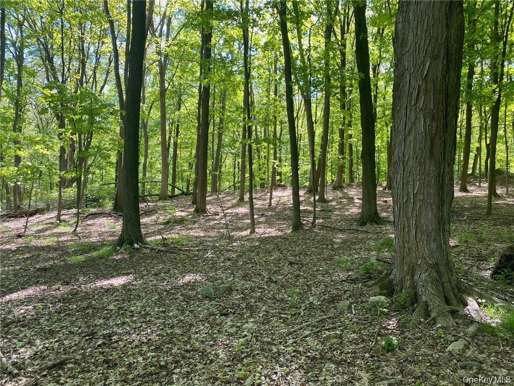 58-62 Walmer Lane, Cold Spring, NY 10516