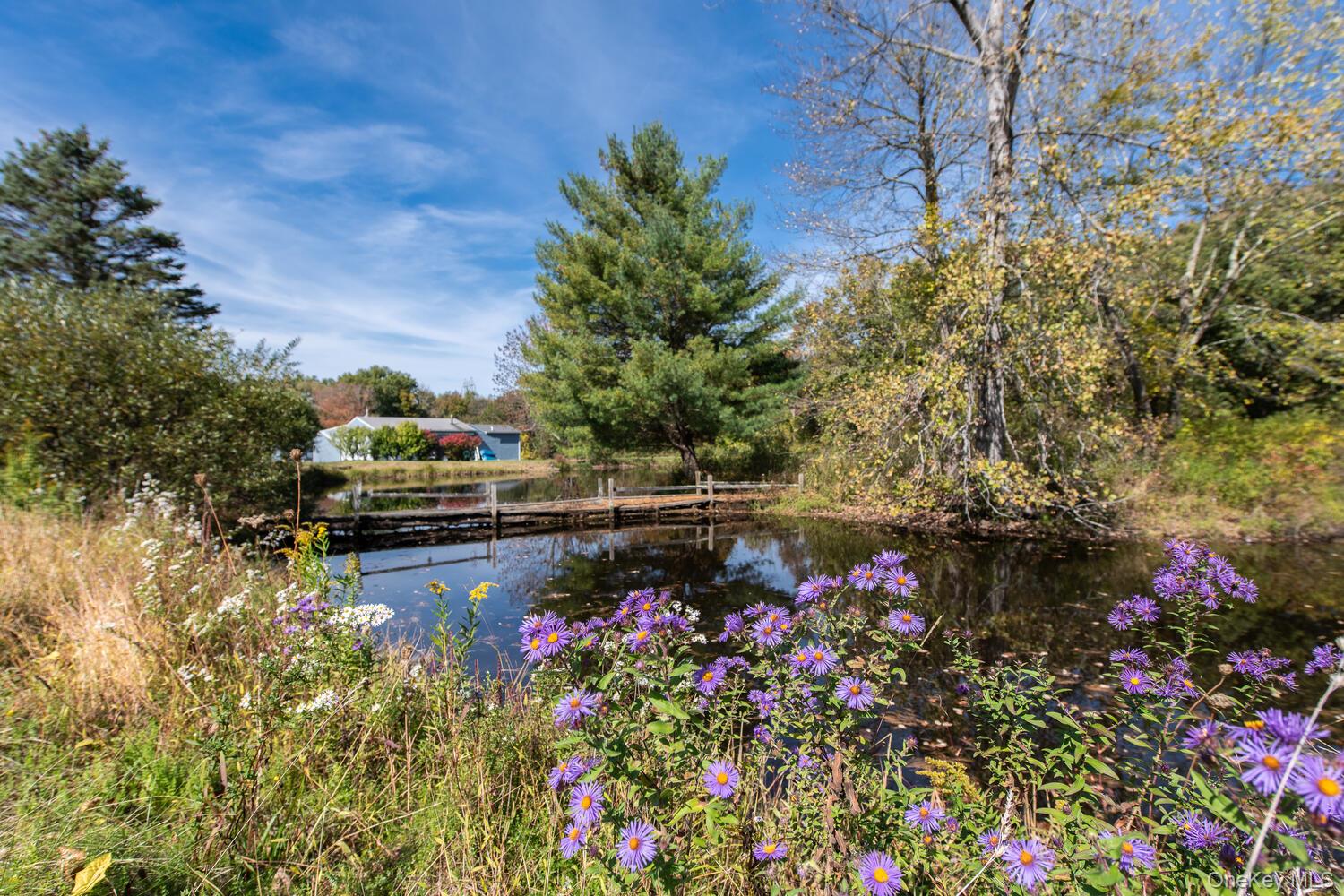 352-354 Ruskey Lane, Hyde Park, NY 12538