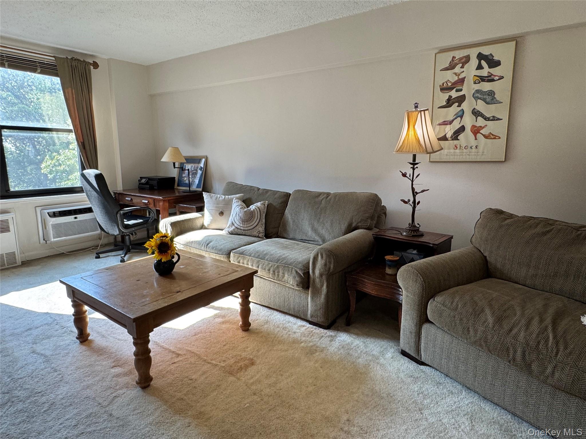 139-15 83 Avenue # 409, Briarwood, NY 11435