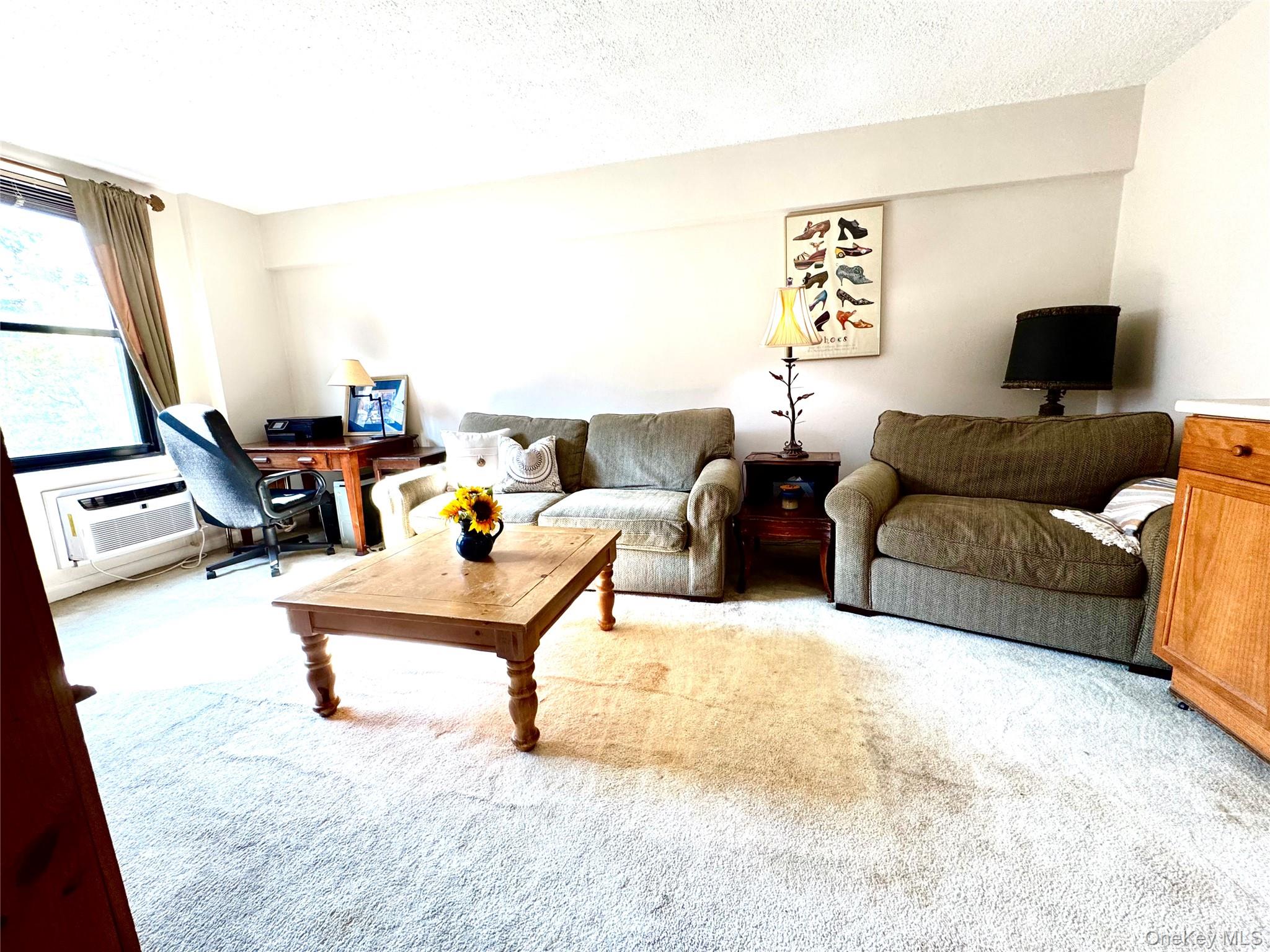 139-15 83 Avenue # 409, Briarwood, NY 11435