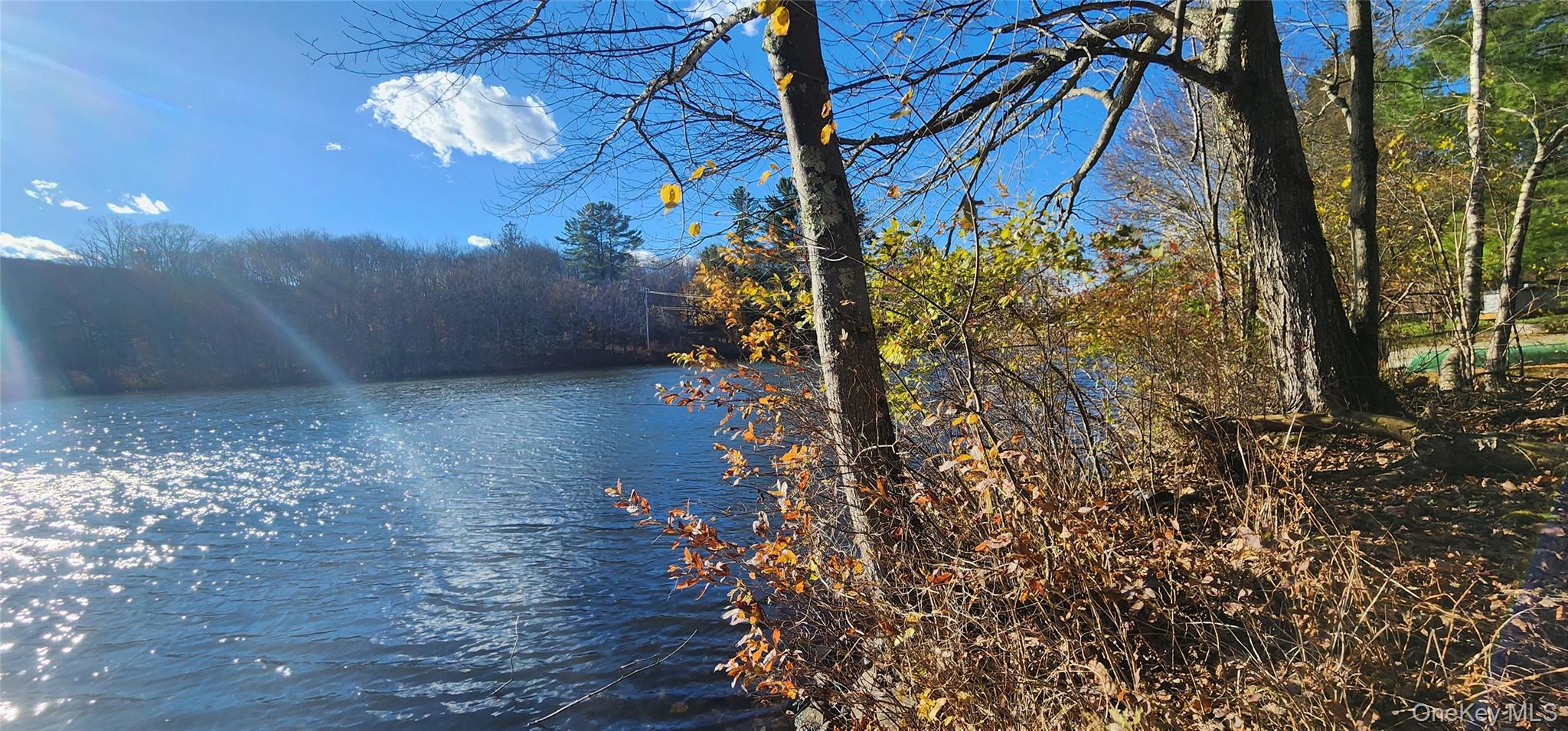 371 Kelly Bridge Road # 365, Swan Lake, NY 12783