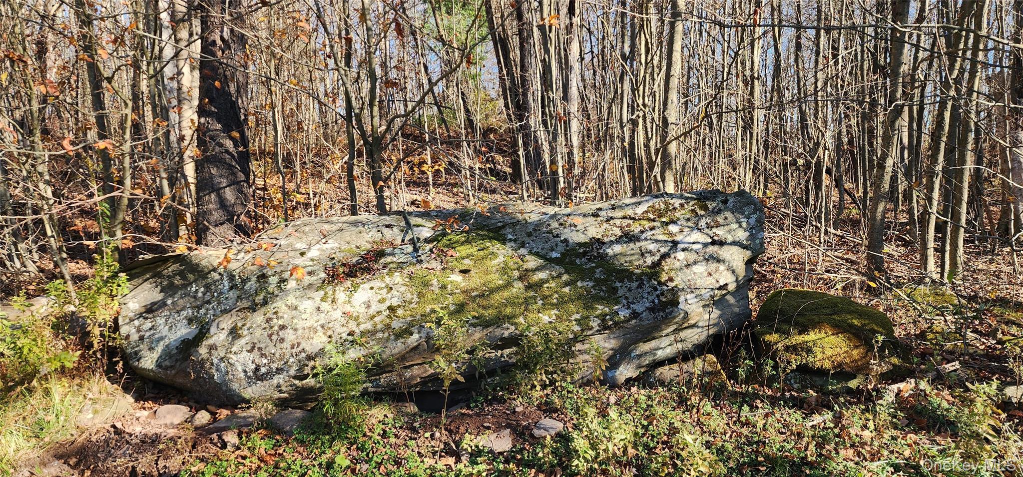 371 Kelly Bridge Road # 365, Swan Lake, NY 12783