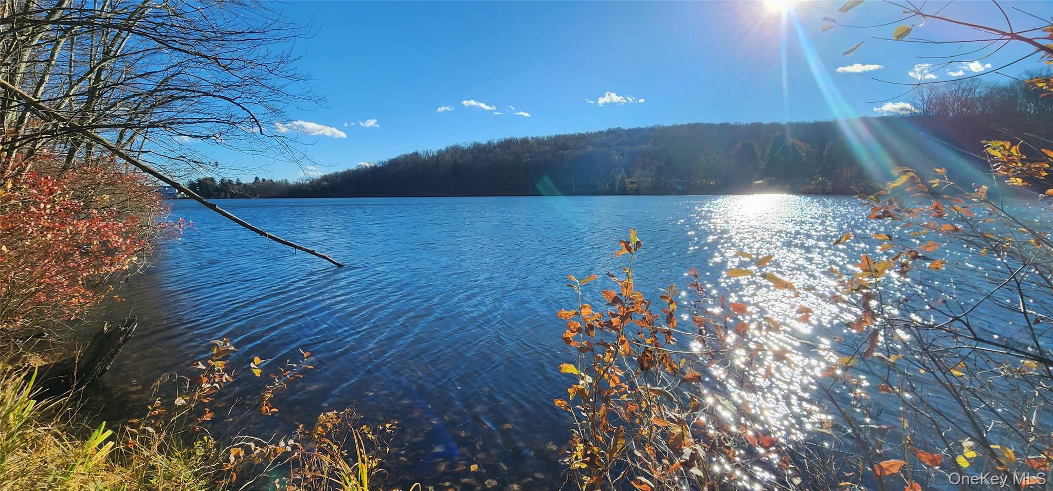 371 Kelly Bridge Road # 365, Swan Lake, NY 12783