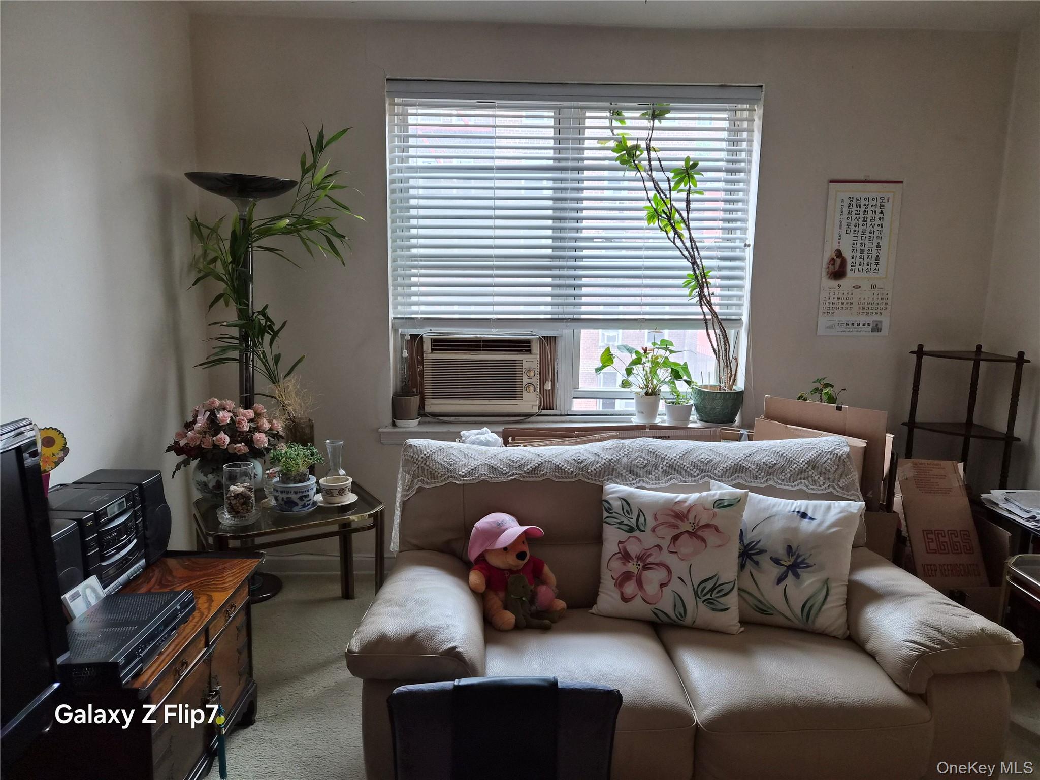 39-65 51 Street # 4B, Woodside, NY 11377