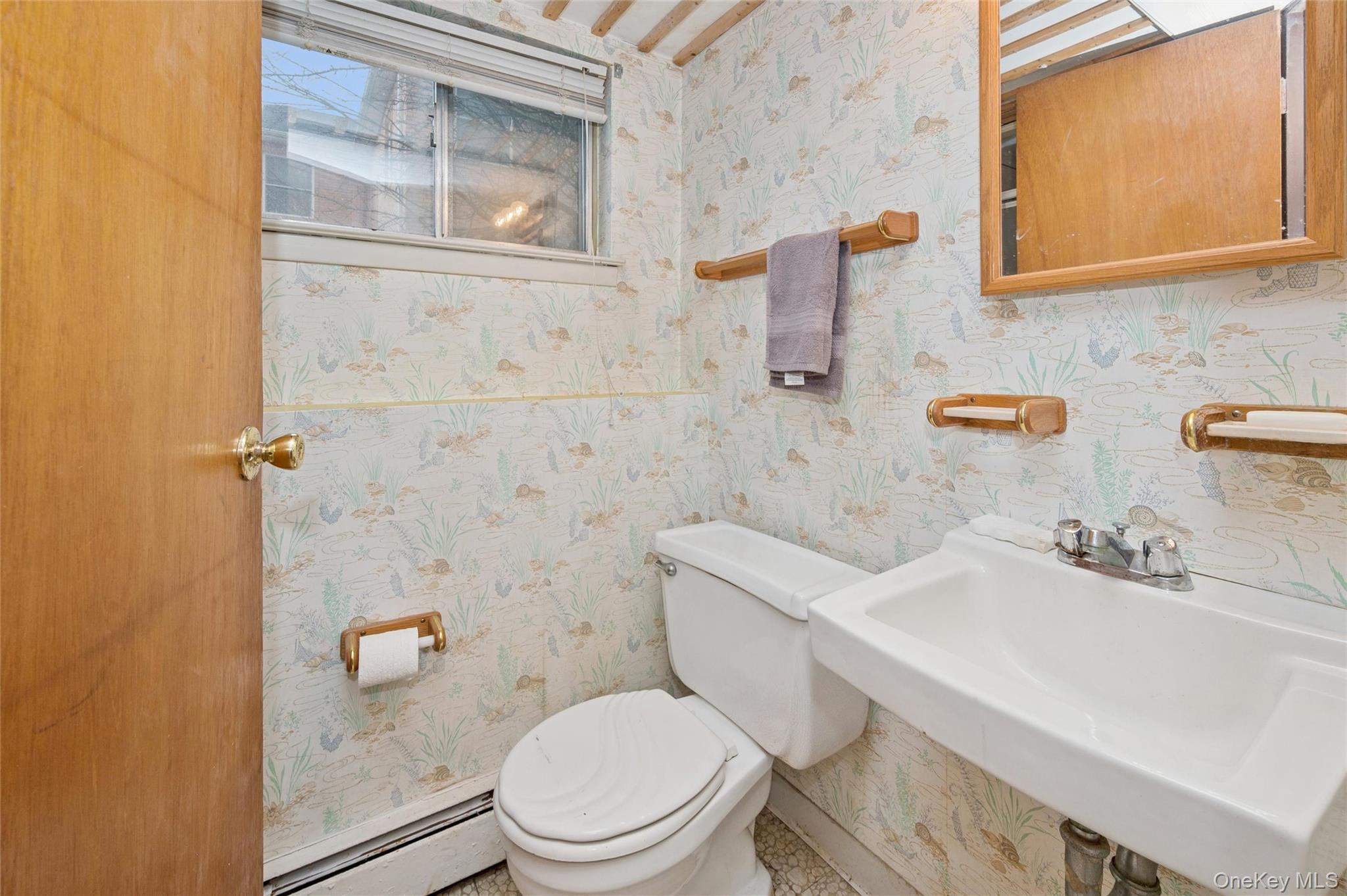 33 Grove Street, Hicksville, NY 11801