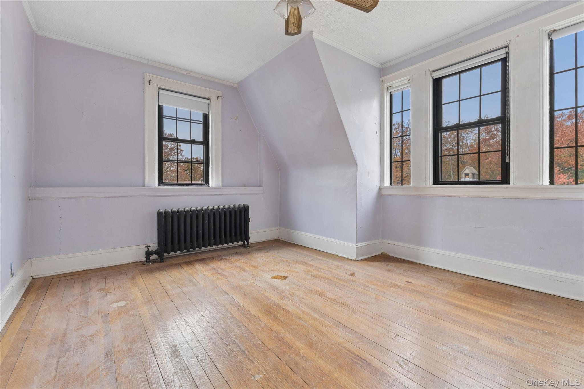 213 Burns Street, Forest Hills, NY 11375