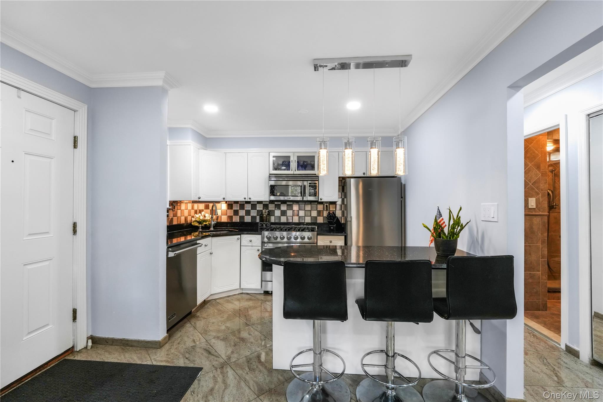 427 Schorr Drive # 36A, College Point, NY 11356