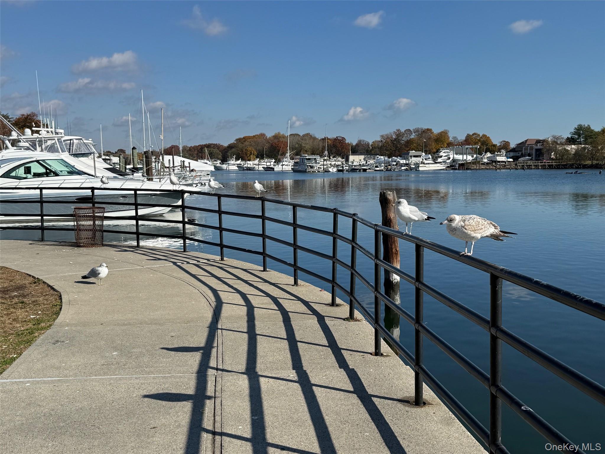 20 Keogh Lane # 1A, New Rochelle, NY 10805