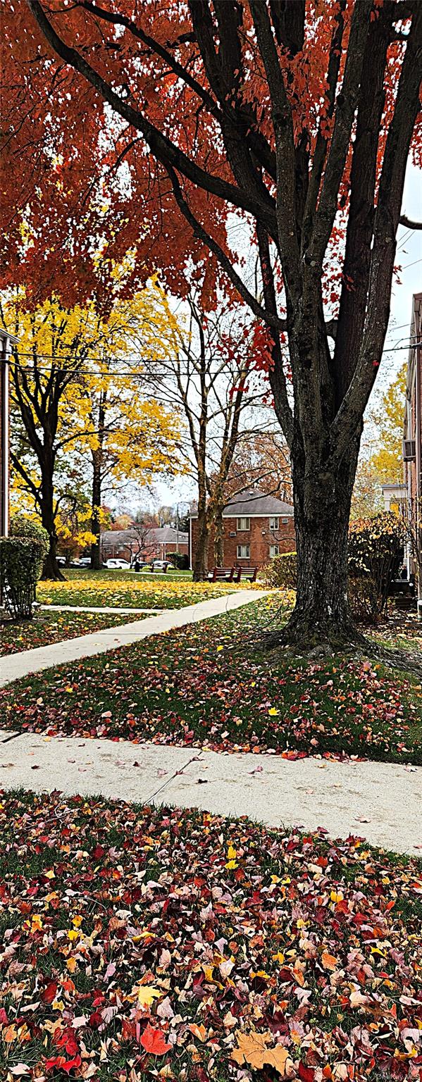 54 Lawrence Drive # D, White Plains, NY 10603