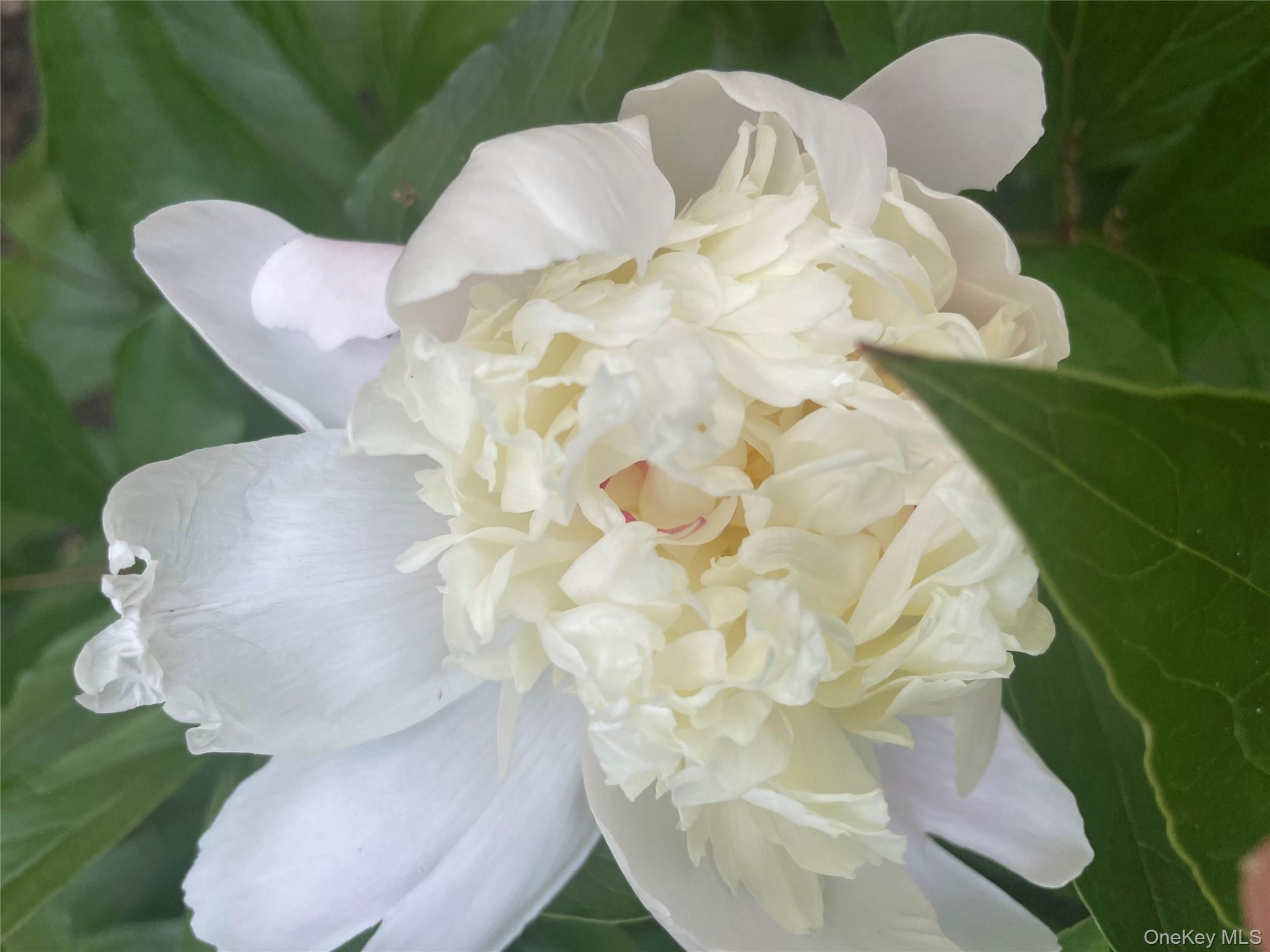 101 Hickory Hill Road, Tappan, NY 10983