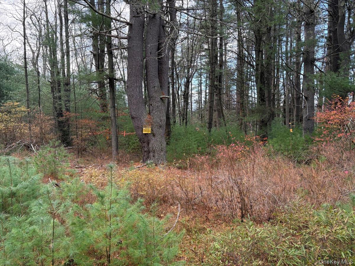 0 Puckyhuddle Road, Bethel, NY 12720