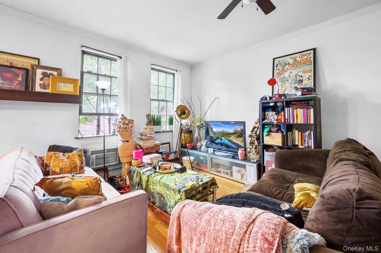 15 Evans Street, Brooklyn, NY 11201