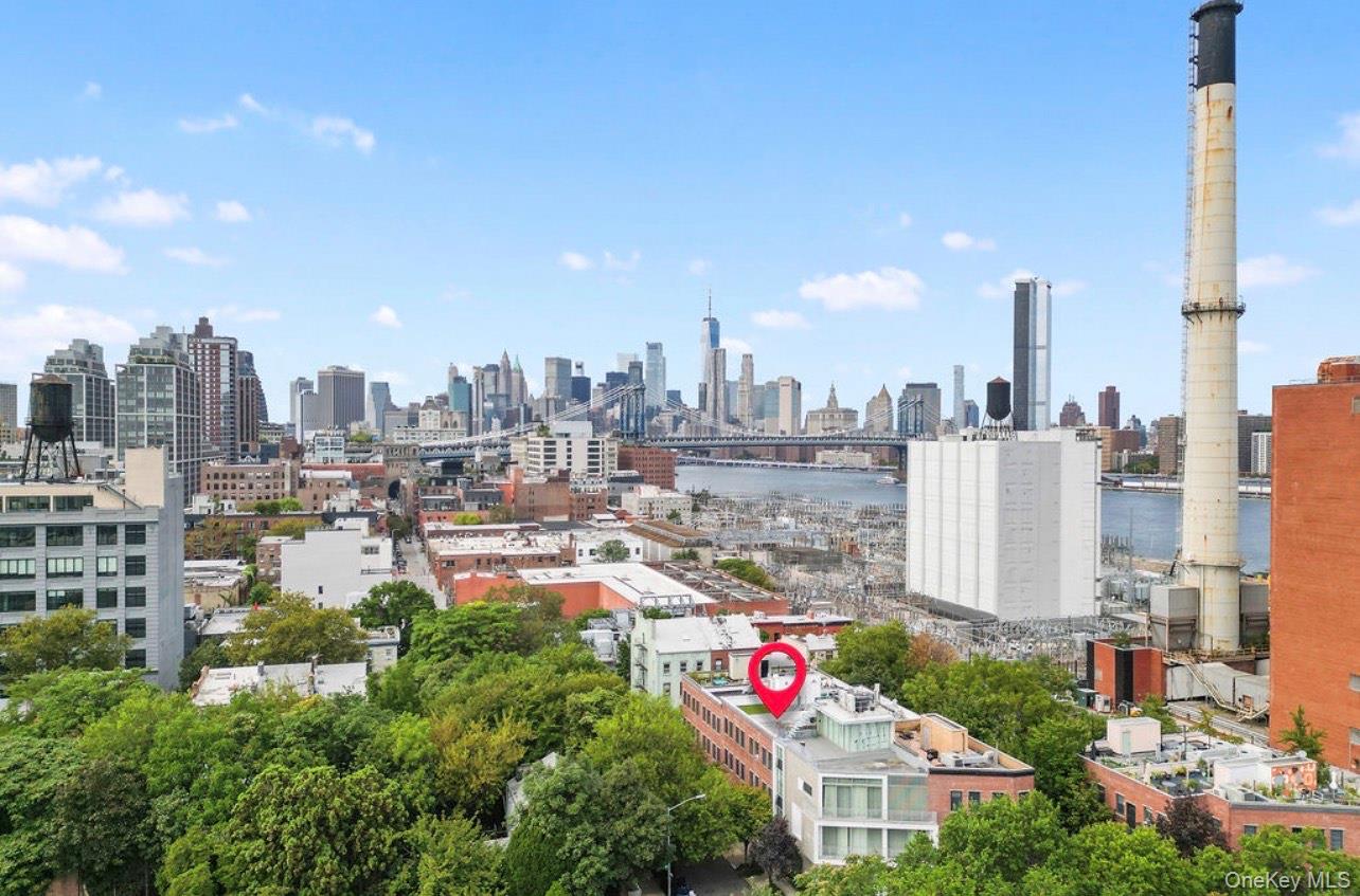 15 Evans Street, Brooklyn, NY 11201