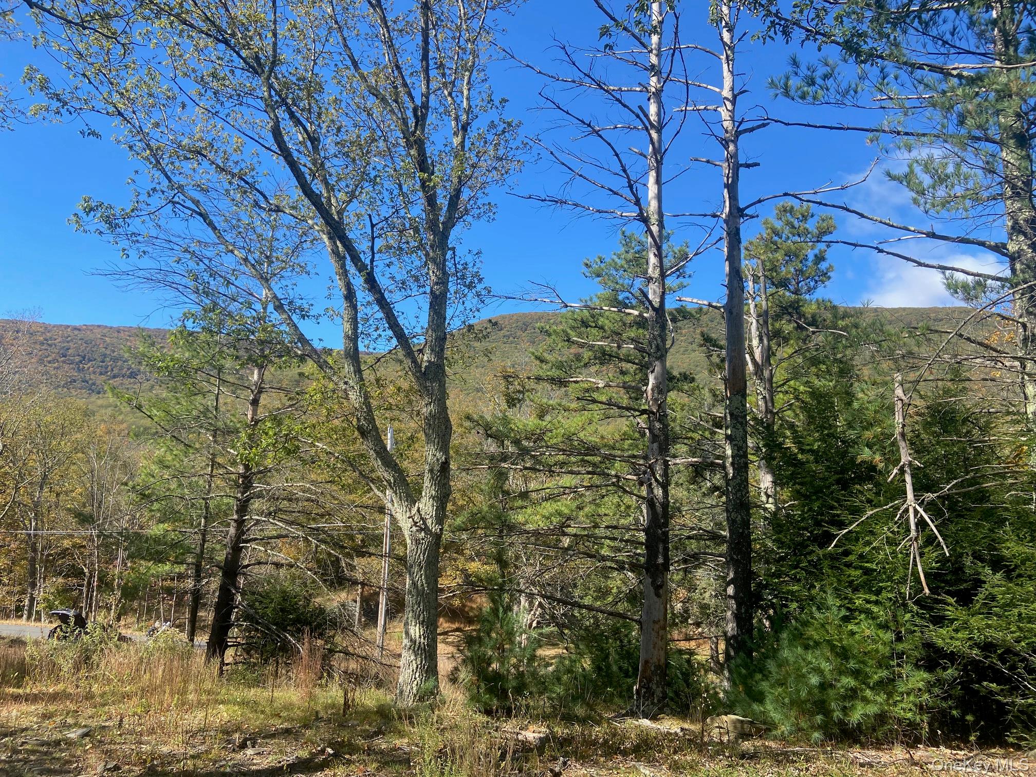 Tbd Manorville Road, Saugerties, NY 12477