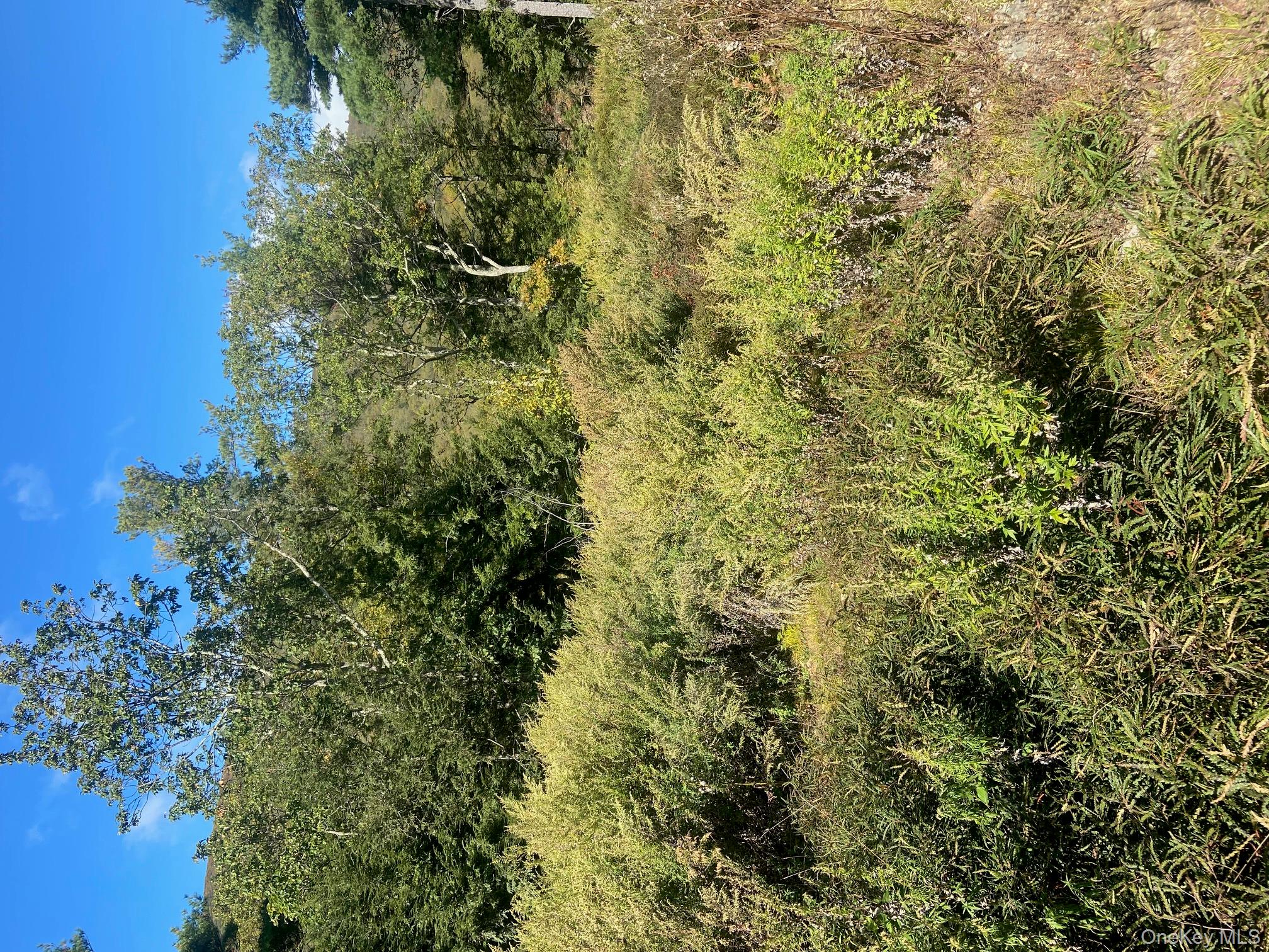 Tbd Manorville Road, Saugerties, NY 12477