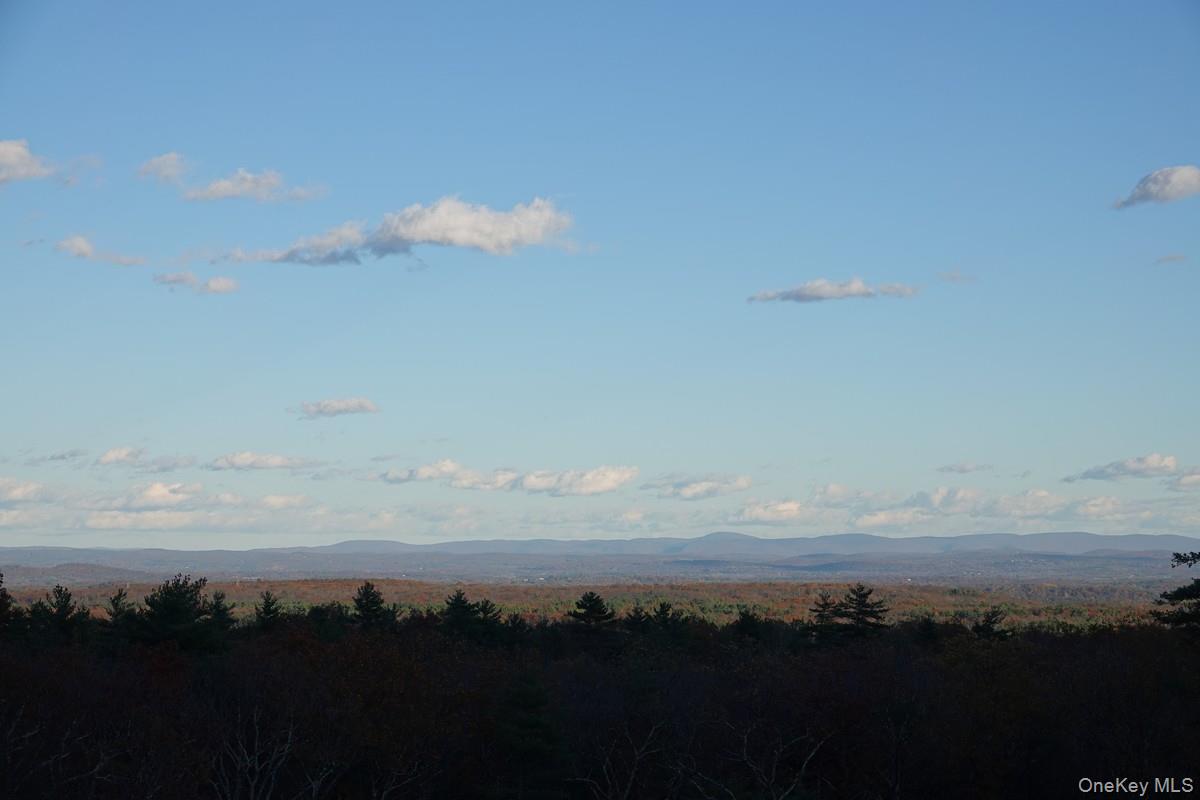 Tbd Manorville Road, Saugerties, NY 12477