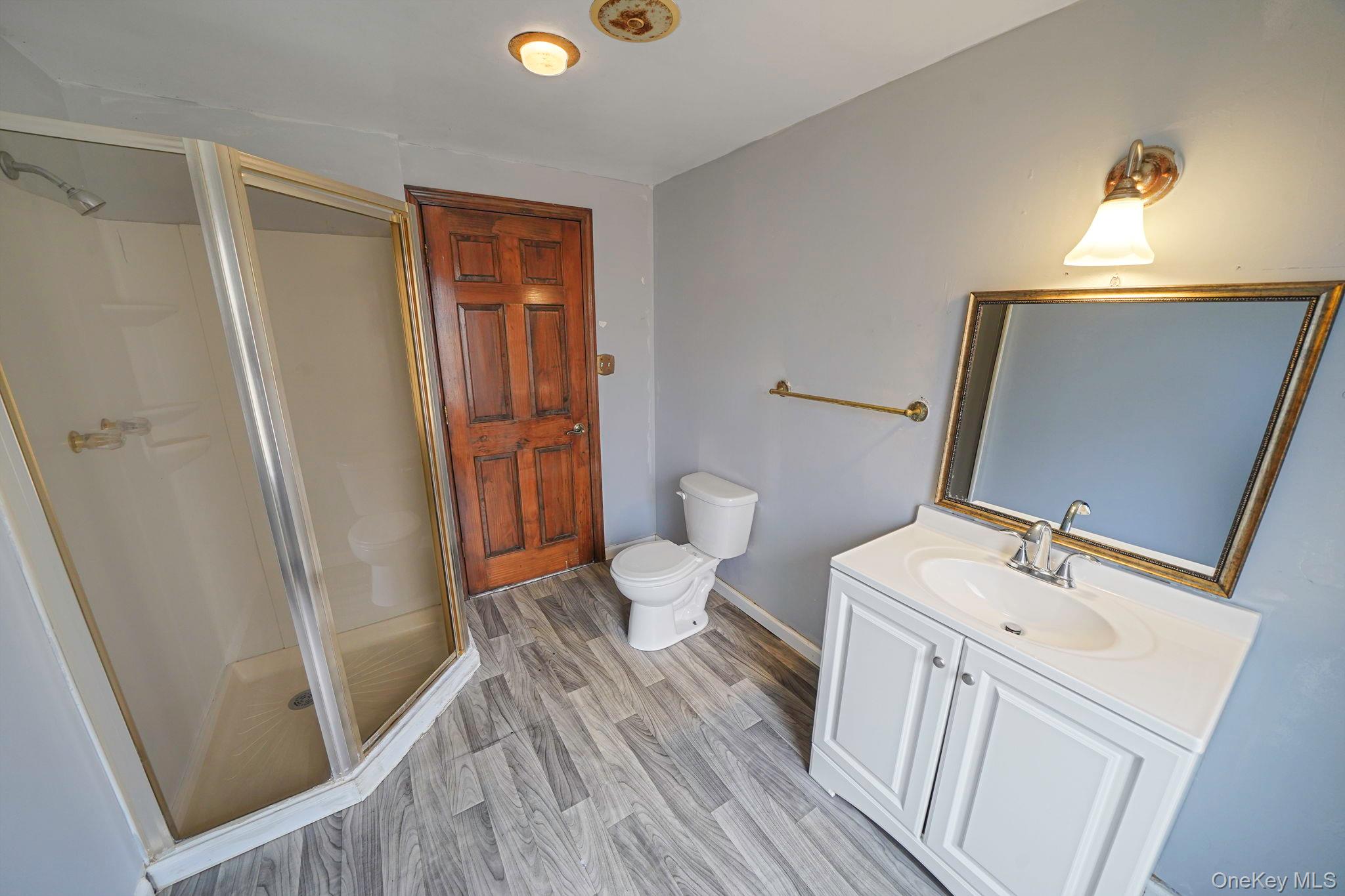 56 Matsunaye Drive, Medford, NY 11763