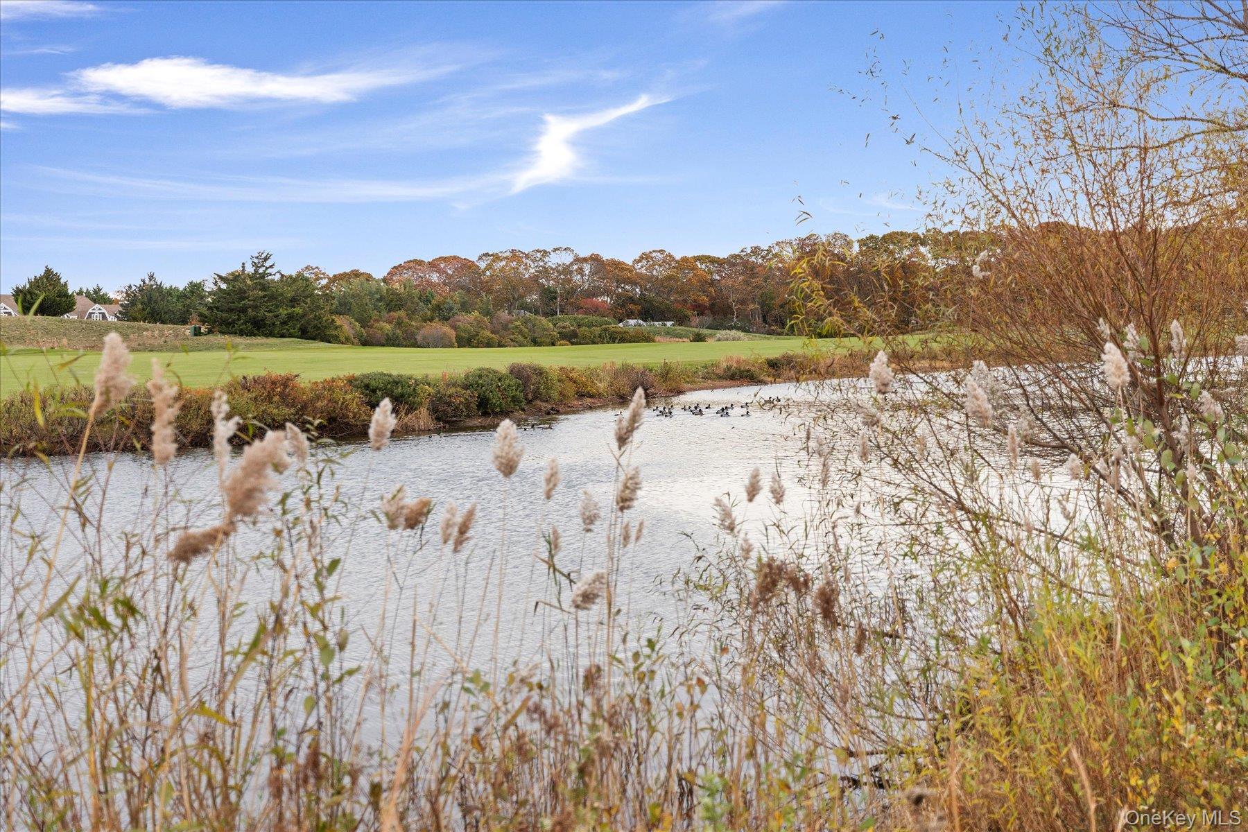 2995 Laurel Trail, Laurel, NY 11948