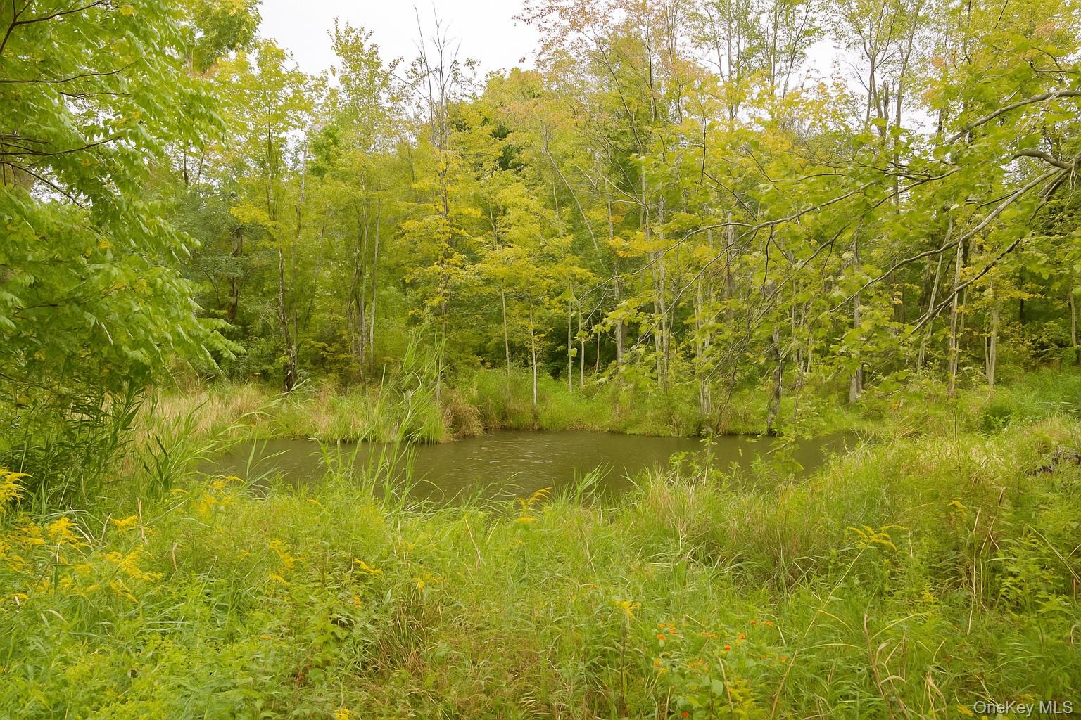 2829 Route 9G, Rhinebeck, NY 12572