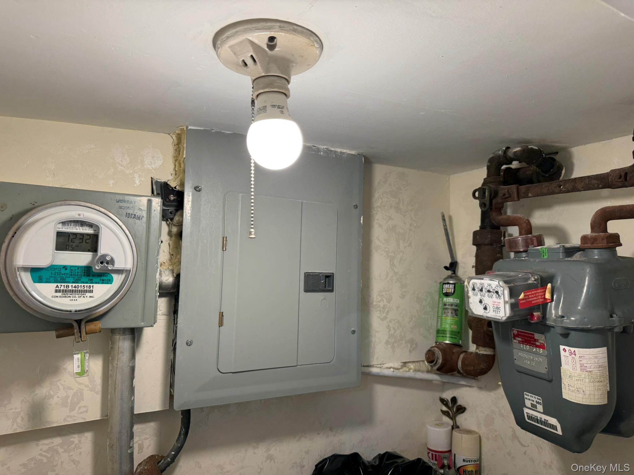 14771 Hoover Avenue, Briarwood, NY 11435