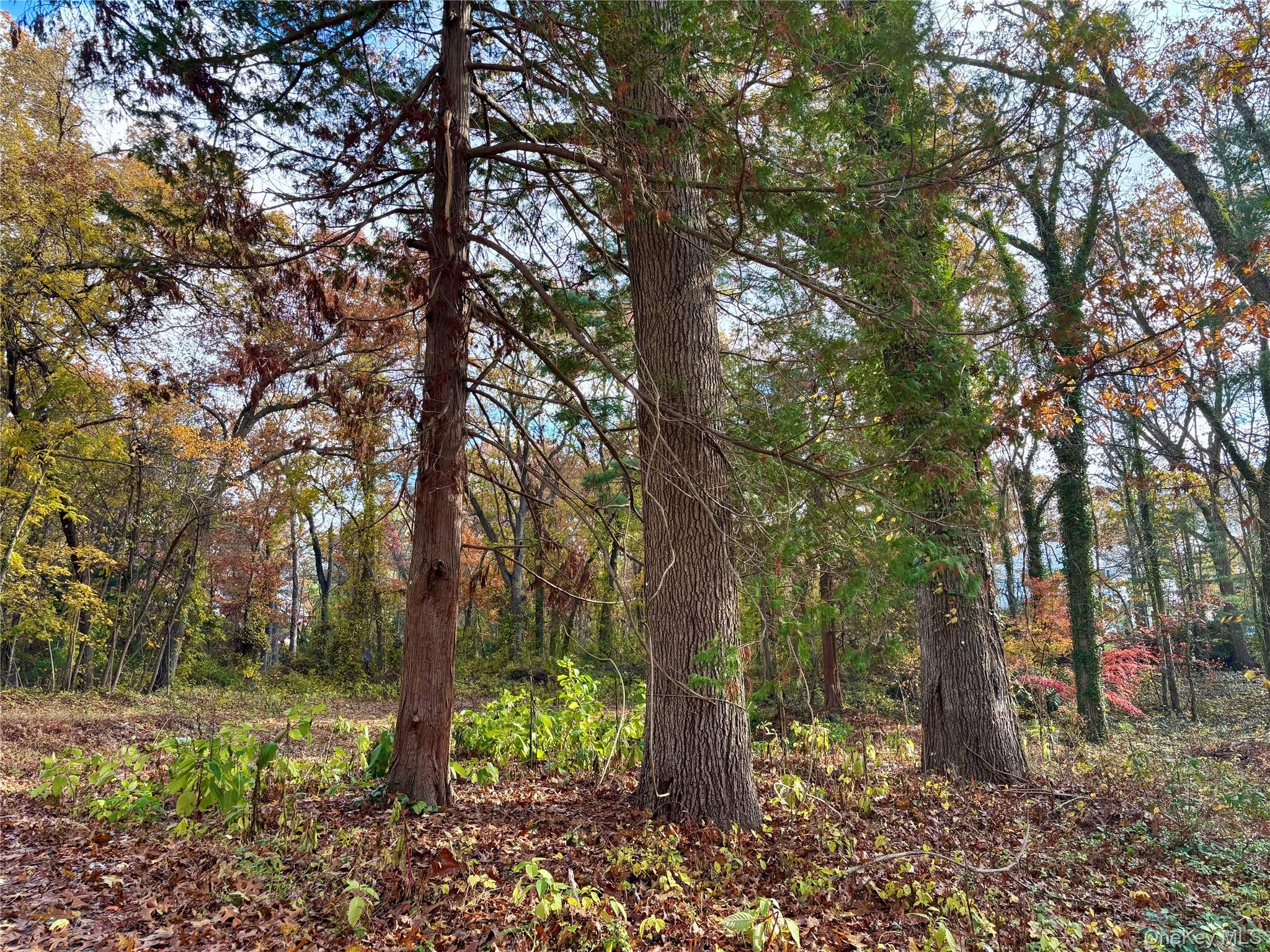 1029 Friendly Road, Upper Brookville, NY 11771