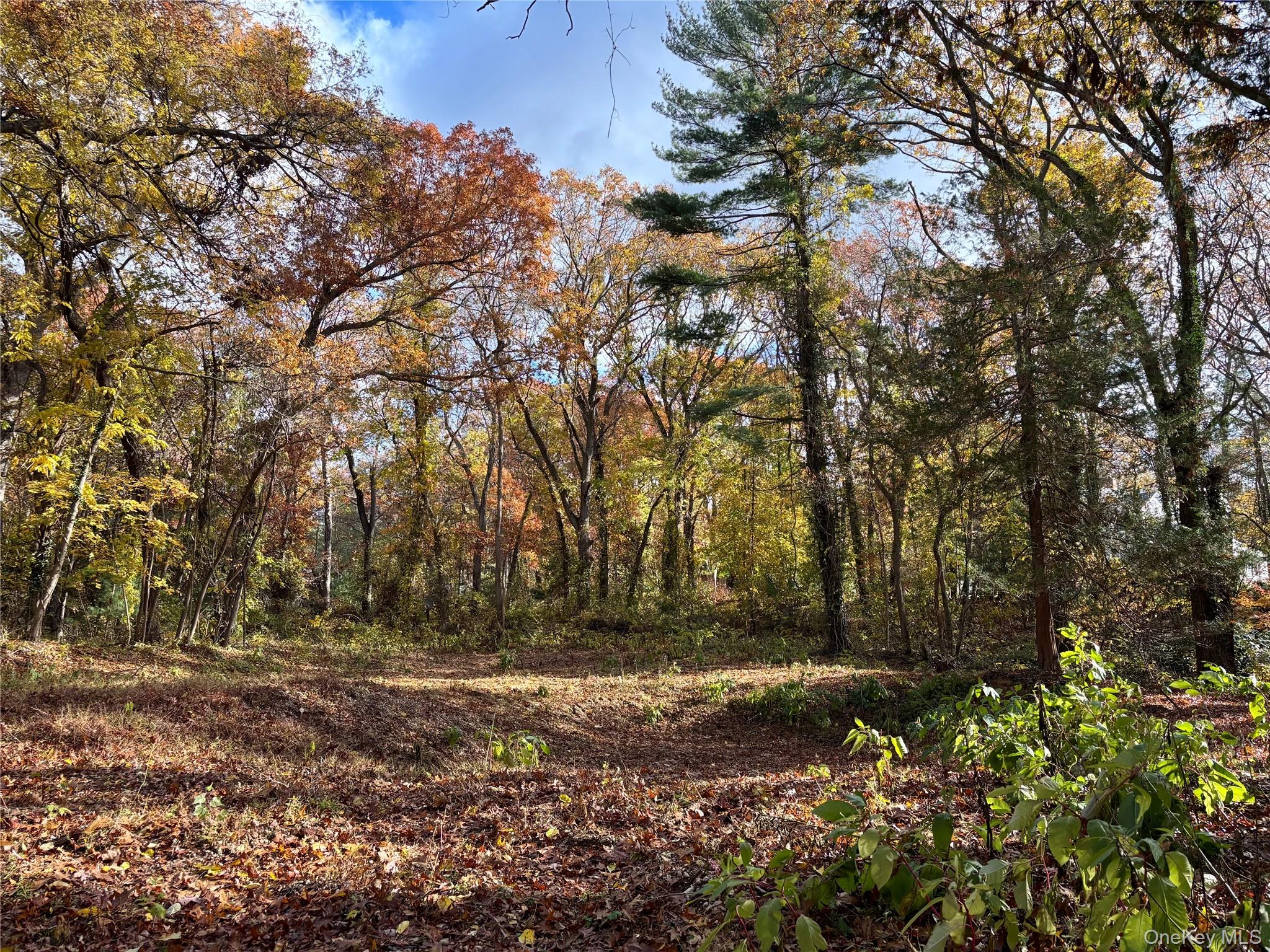 1029 Friendly Road, Upper Brookville, NY 11771