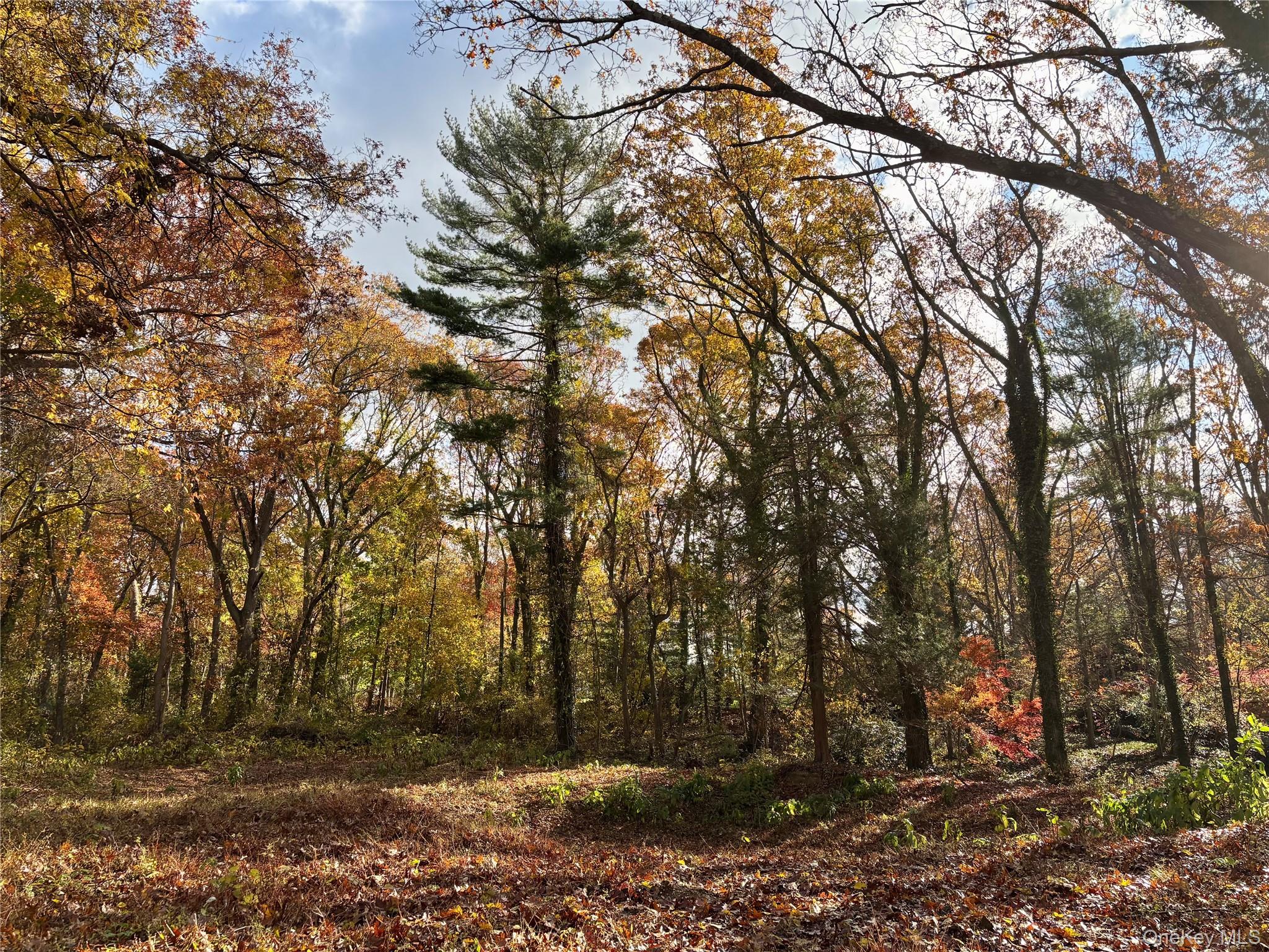 1029 Friendly Road, Upper Brookville, NY 11771