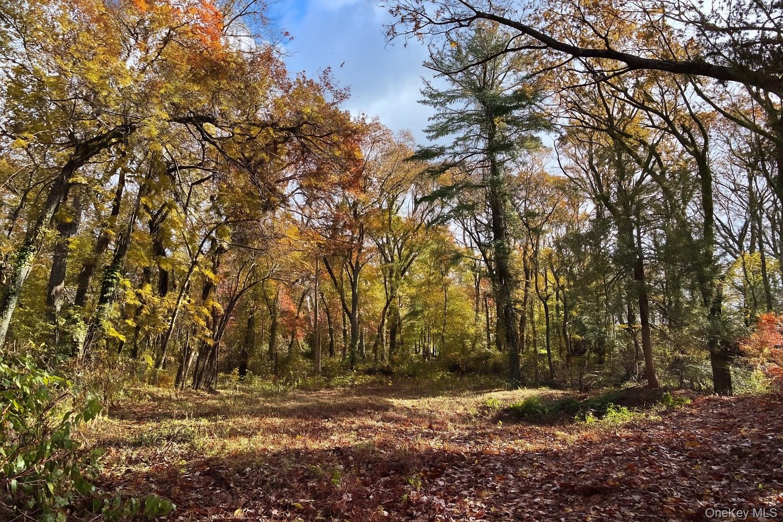 1029 Friendly Road, Upper Brookville, NY 11771