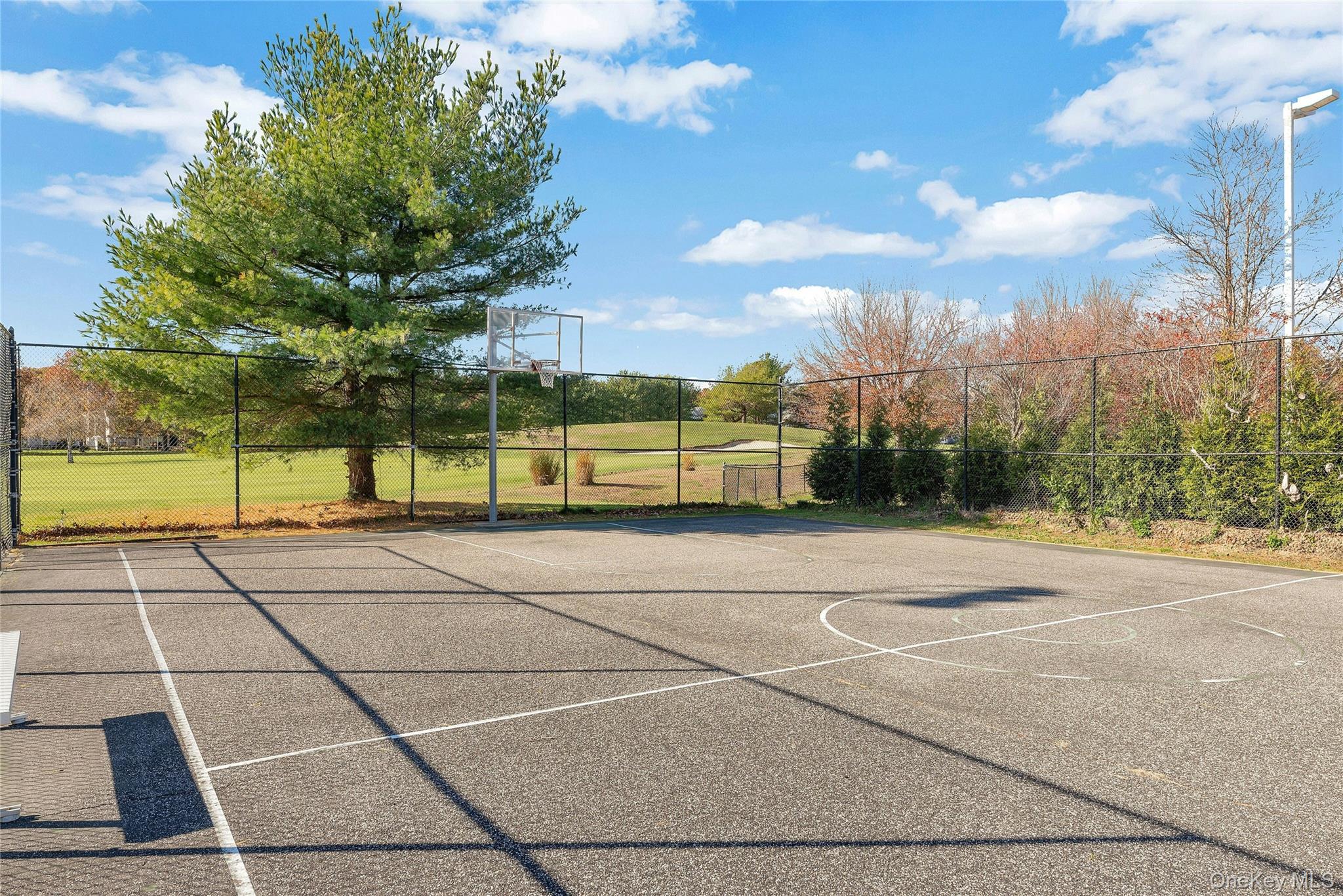 825 Spring Lake Drive, Middle Island, NY 11953