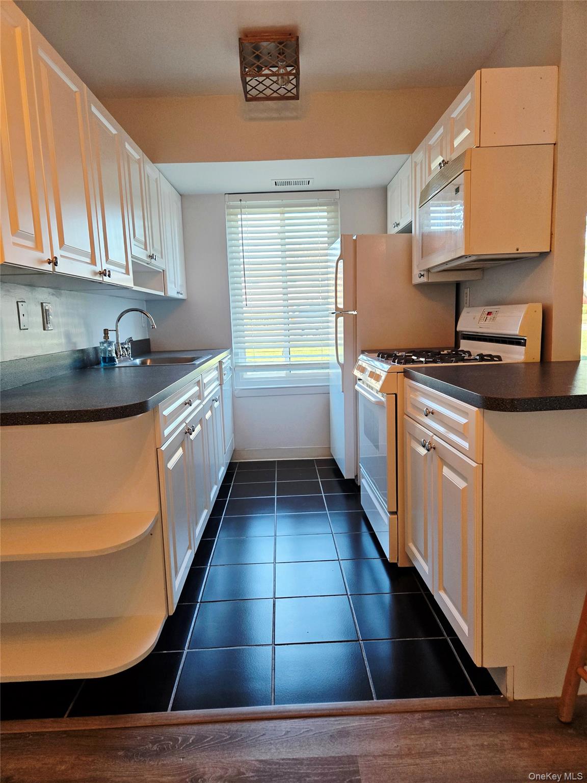 3 Osage Court # 3, Coram, NY 11727