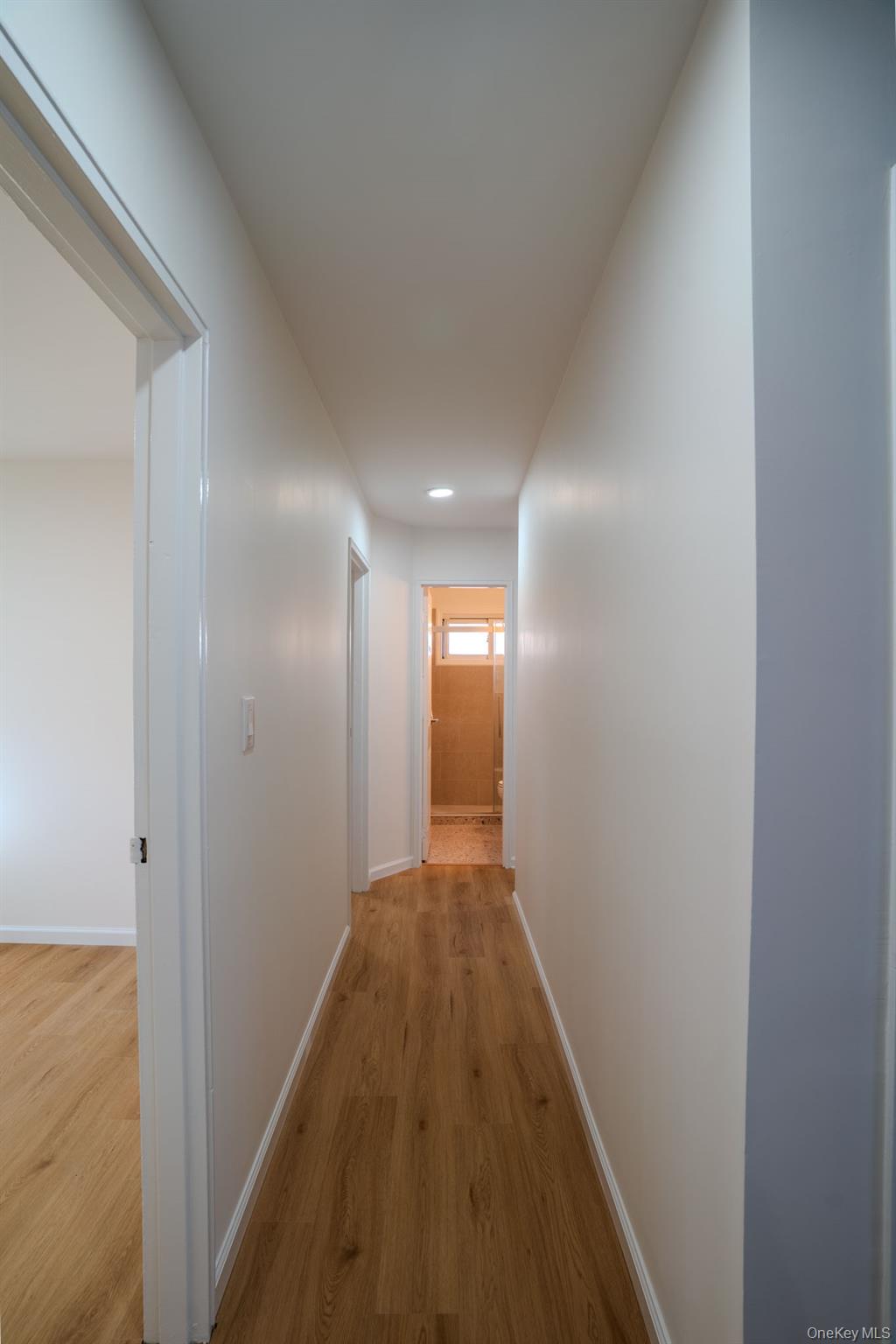 38 Arlene Drive, Brentwood, NY 11717