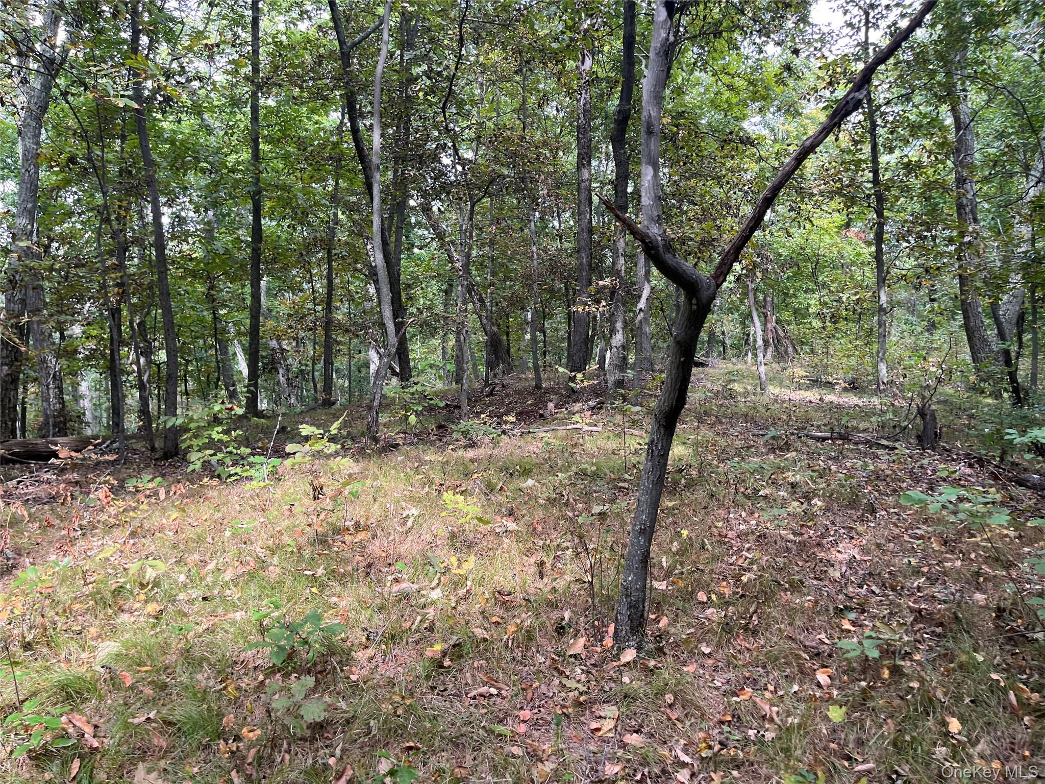 1154 Cold Spring Road Cold Spring Road, Clinton Corners, NY 12514