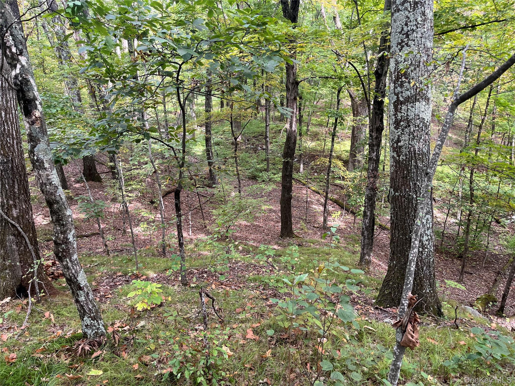 1154 Cold Spring Road Cold Spring Road, Clinton Corners, NY 12514