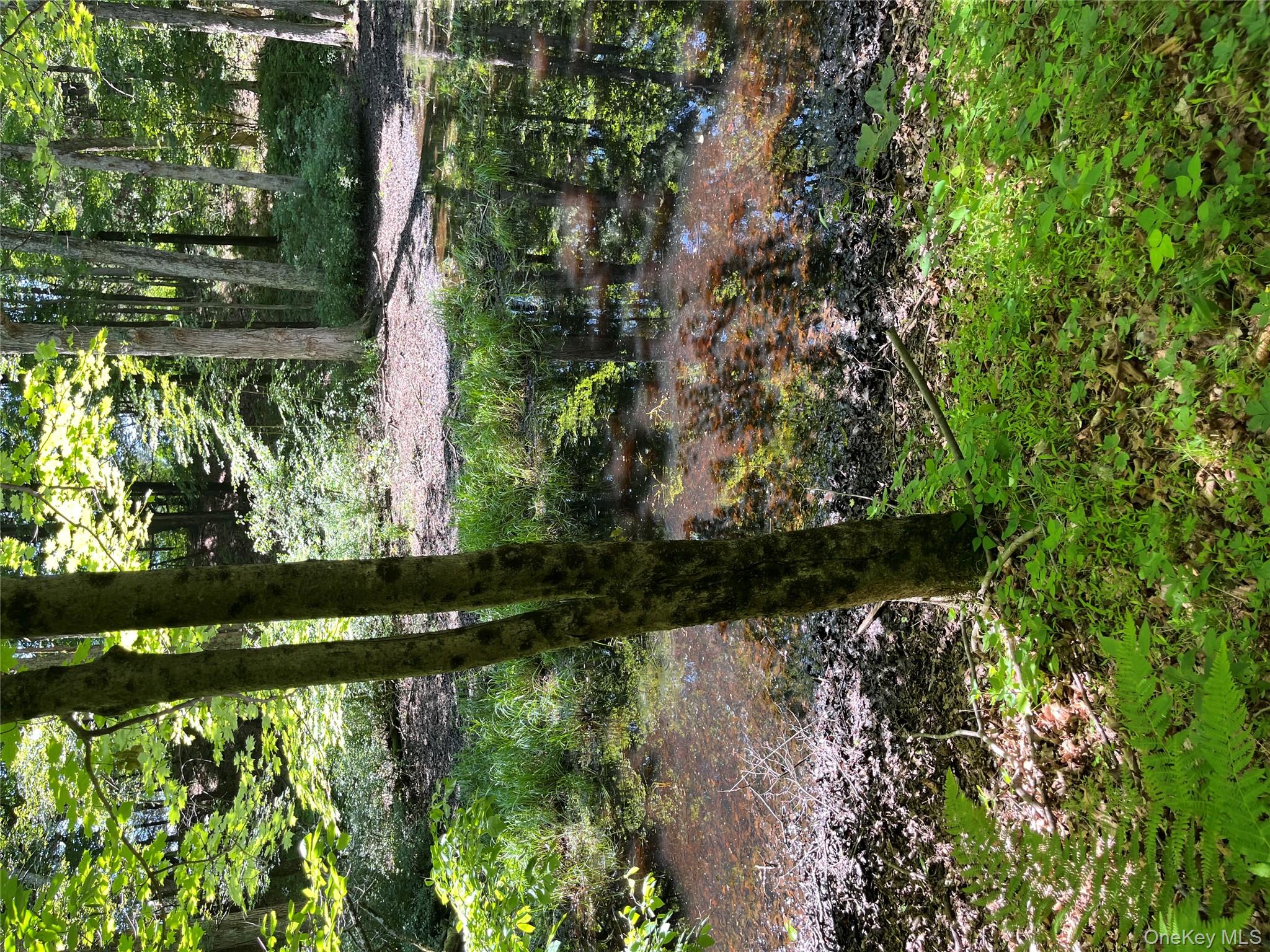 1154 Cold Spring Road Cold Spring Road, Clinton Corners, NY 12514