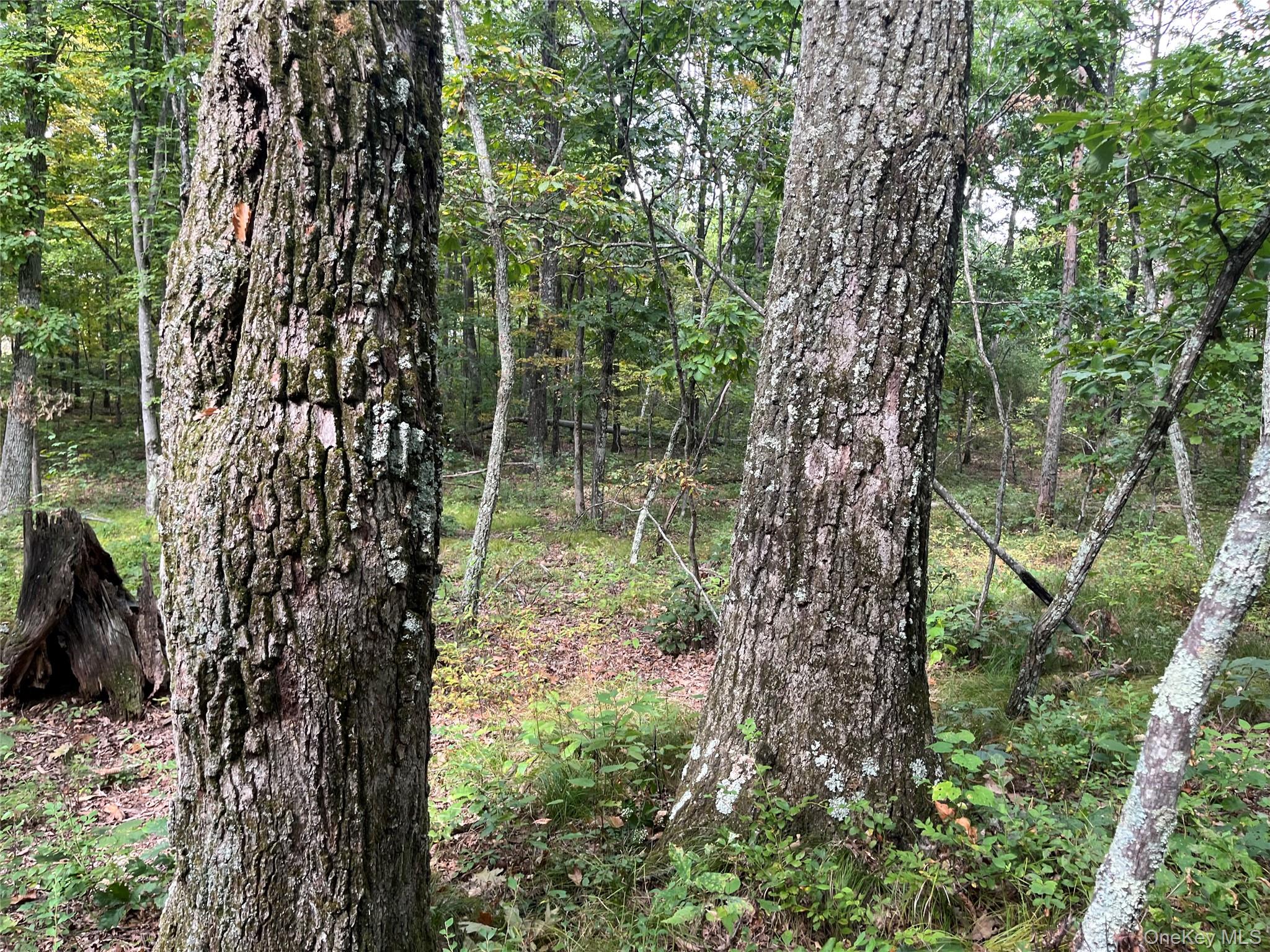 1154 Cold Spring Road Cold Spring Road, Clinton Corners, NY 12514