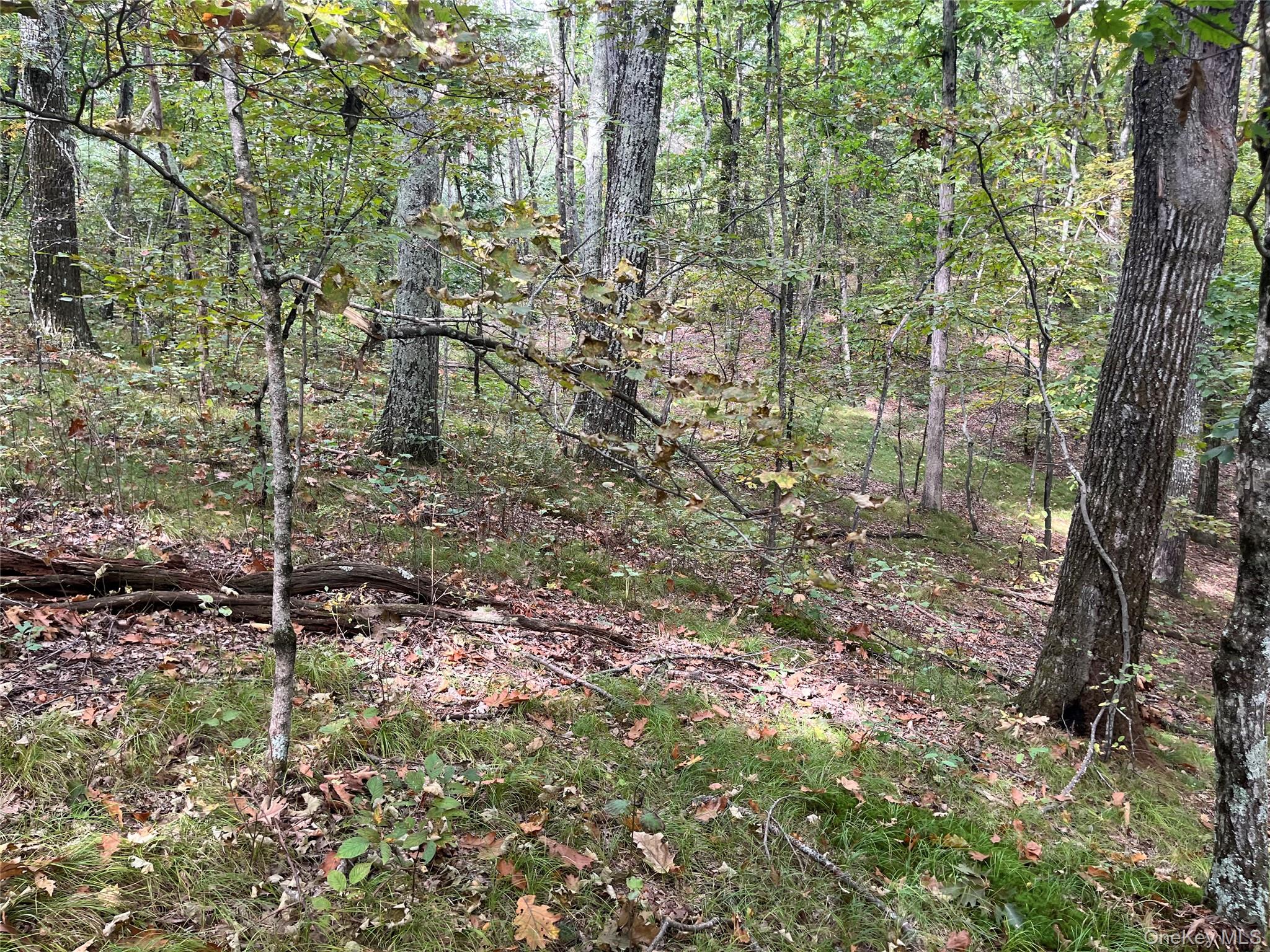 1154 Cold Spring Road Cold Spring Road, Clinton Corners, NY 12514