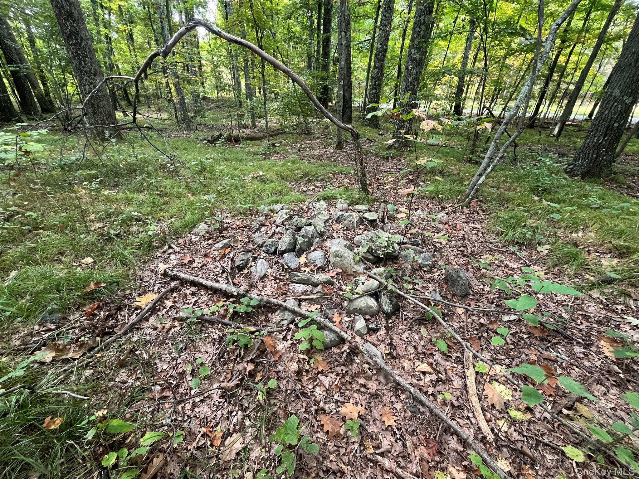 1154 Cold Spring Road Cold Spring Road, Clinton Corners, NY 12514