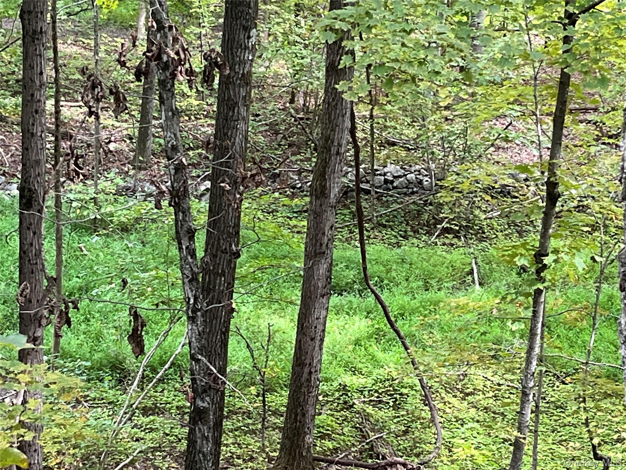 1154 Cold Spring Road Cold Spring Road, Clinton Corners, NY 12514